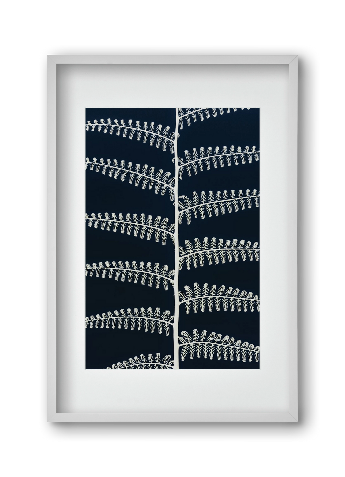 Fern, 30x45 cm (20x30 cm), Fehér keret, paszpartuval