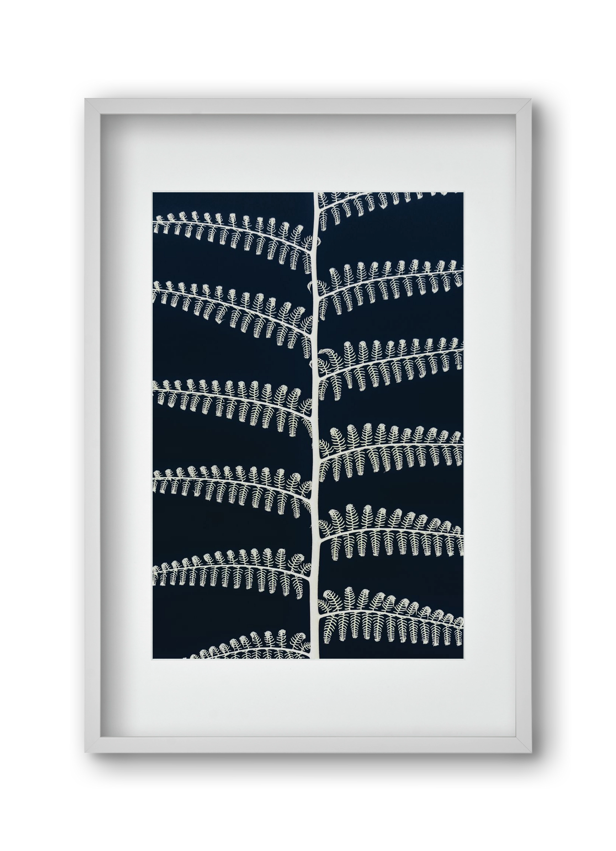 Fern, 30x45 cm (20x30 cm), Fehér keret, paszpartuval