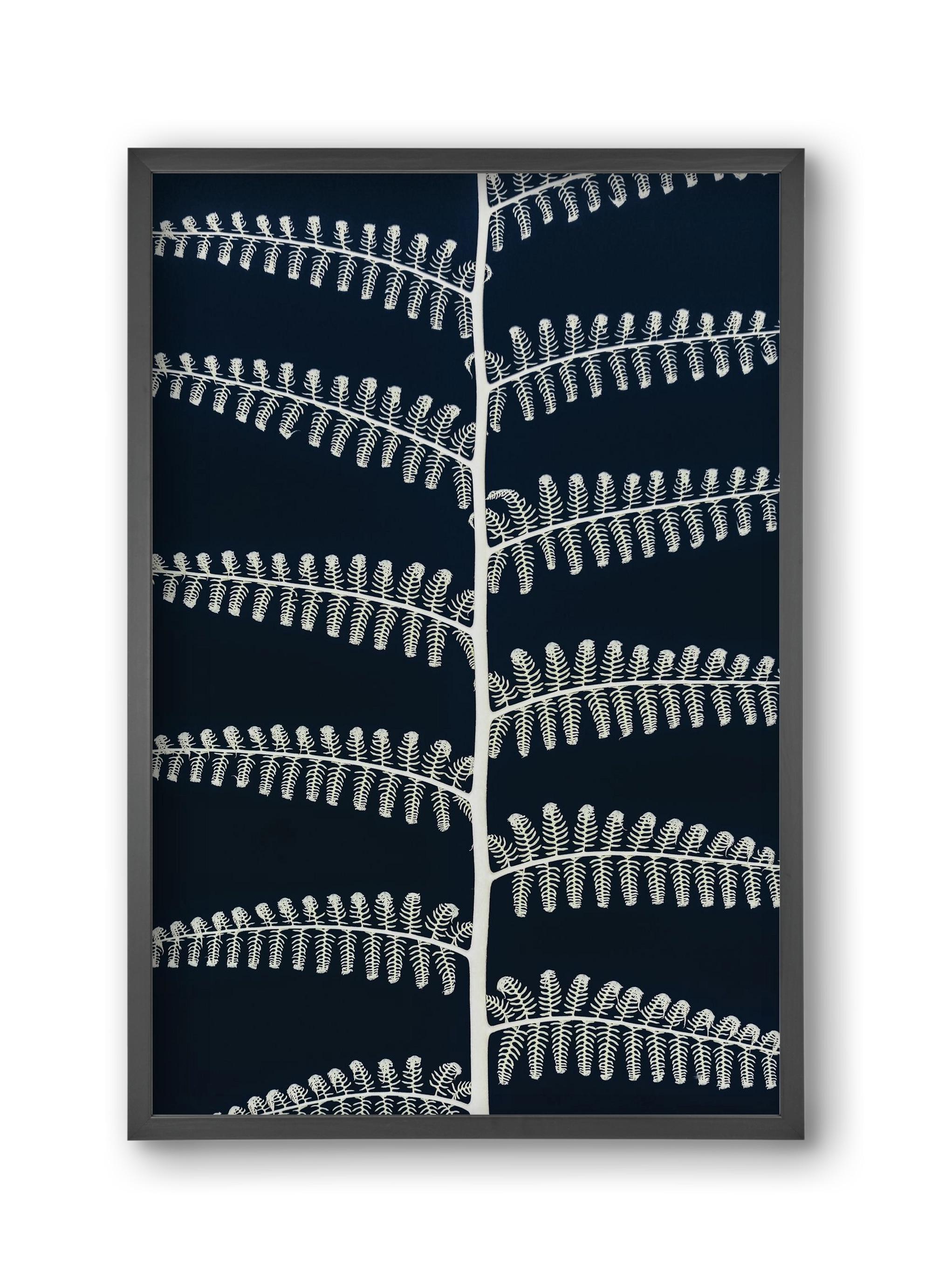 Fern, 30x45 cm (30x45 cm), Fekete keret