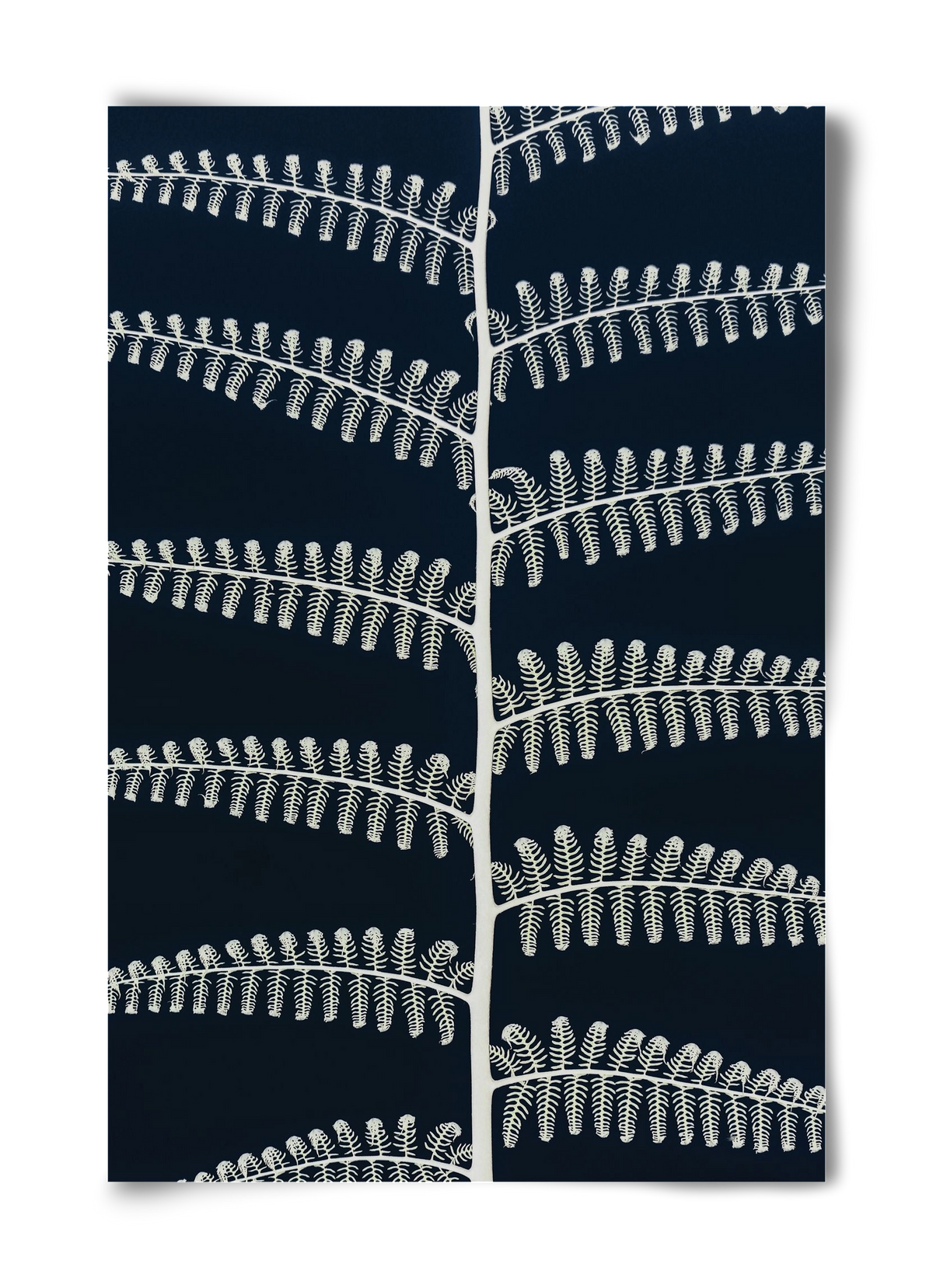 Fern, 40x60 cm, Keret nélkül