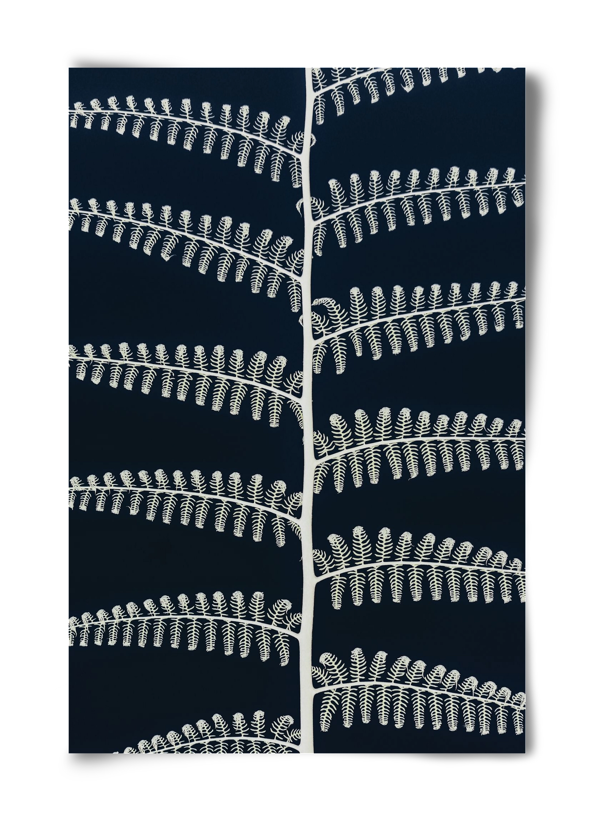 Fern, 40x60 cm, Keret nélkül