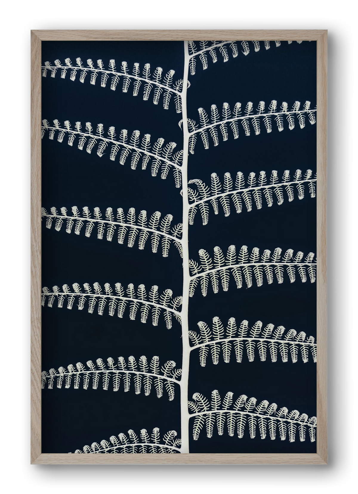 Fern, 40x60 cm (40x60 cm), Tölgy keret