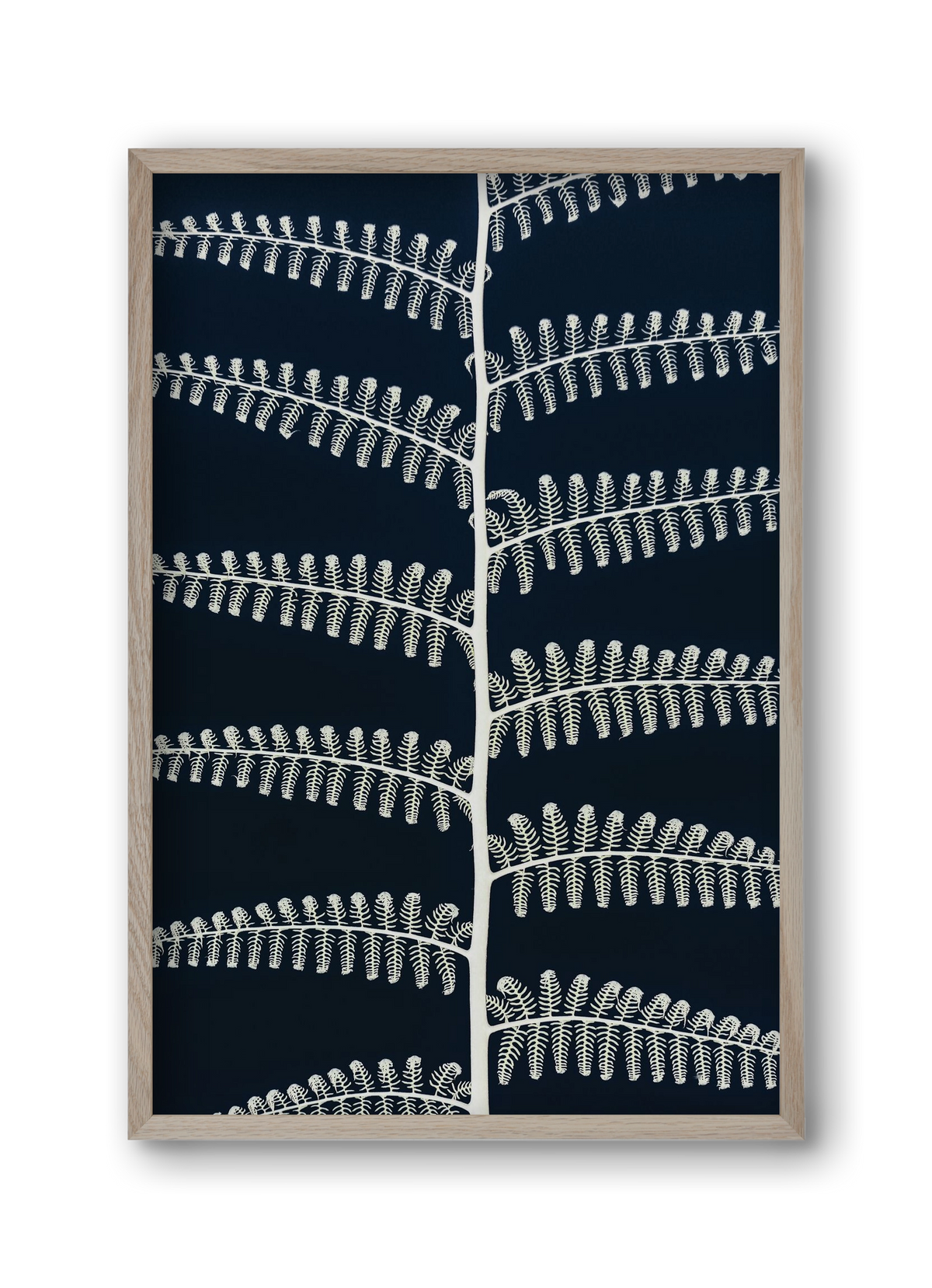 Fern, 30x45 cm (30x45 cm), Tölgy keret