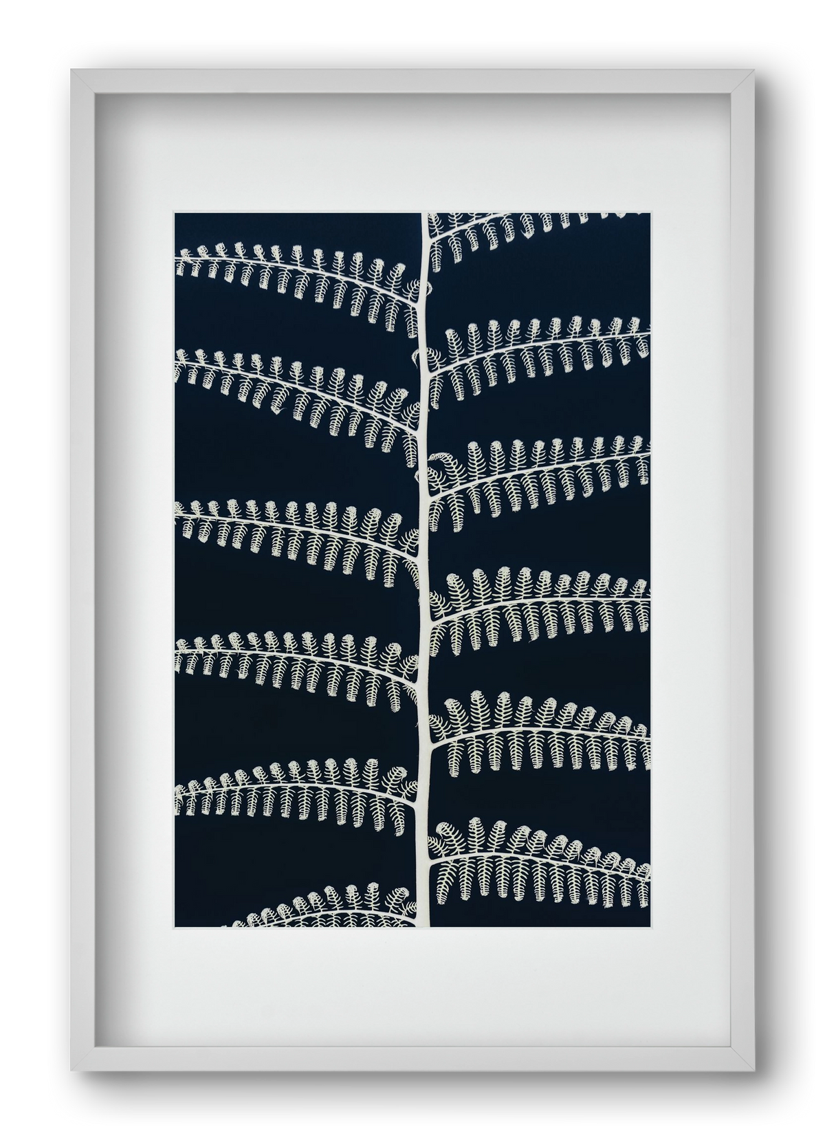 Fern, 40x60 cm (30x45 cm), Fehér keret, paszpartuval