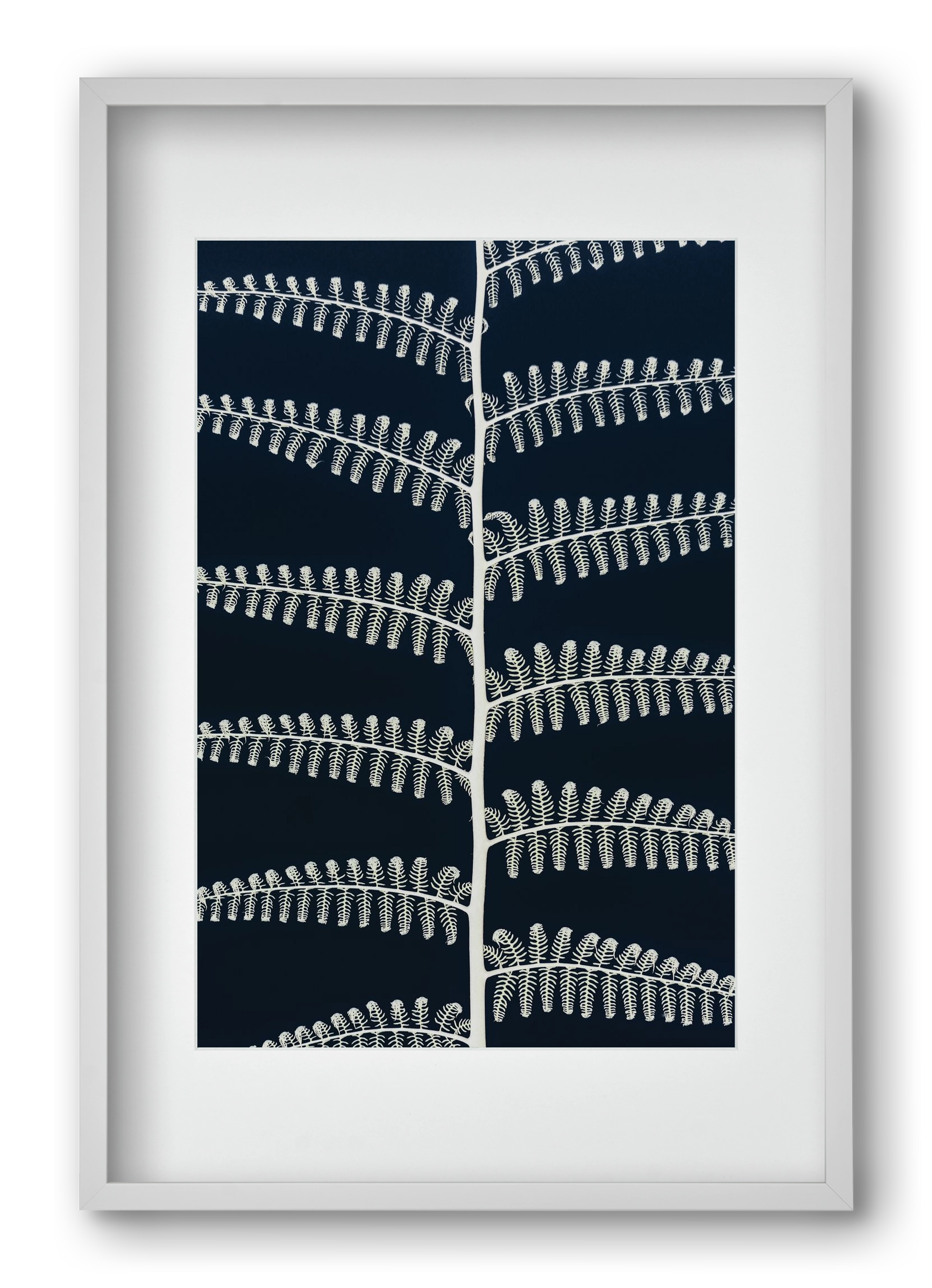 Fern, 40x60 cm (30x45 cm), Fehér keret, paszpartuval