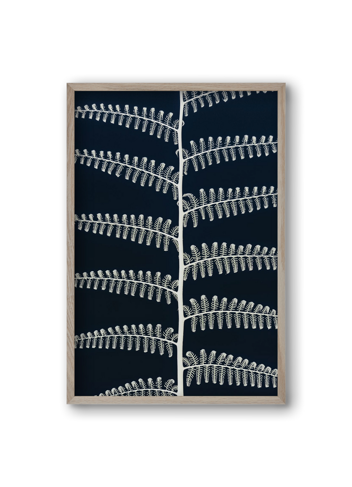 Fern, 20x30 cm (20x30 cm), Tölgy keret