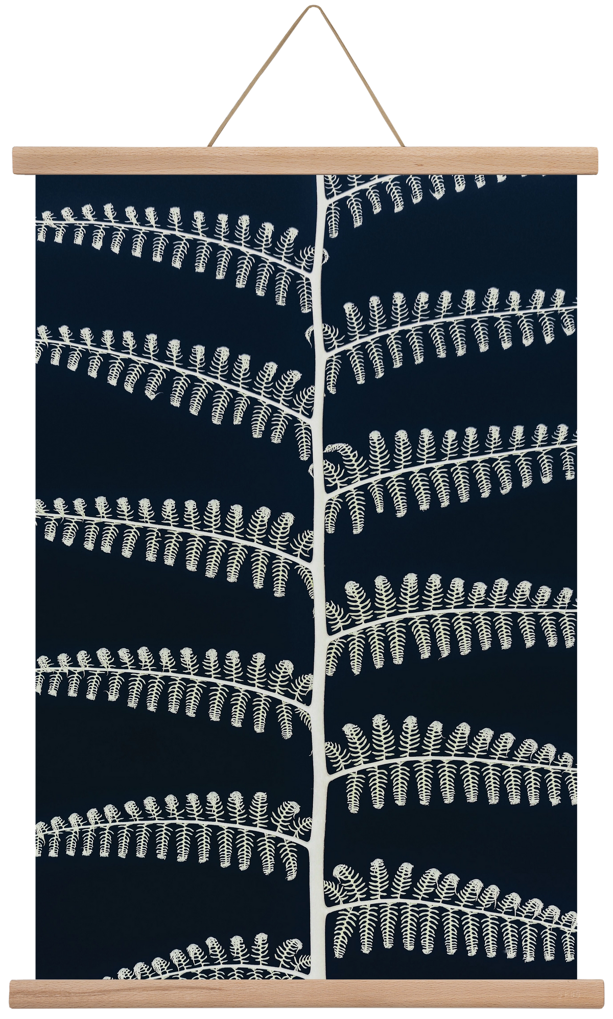 Fern, 40x60 cm (40x60 cm), Tölgy akasztó