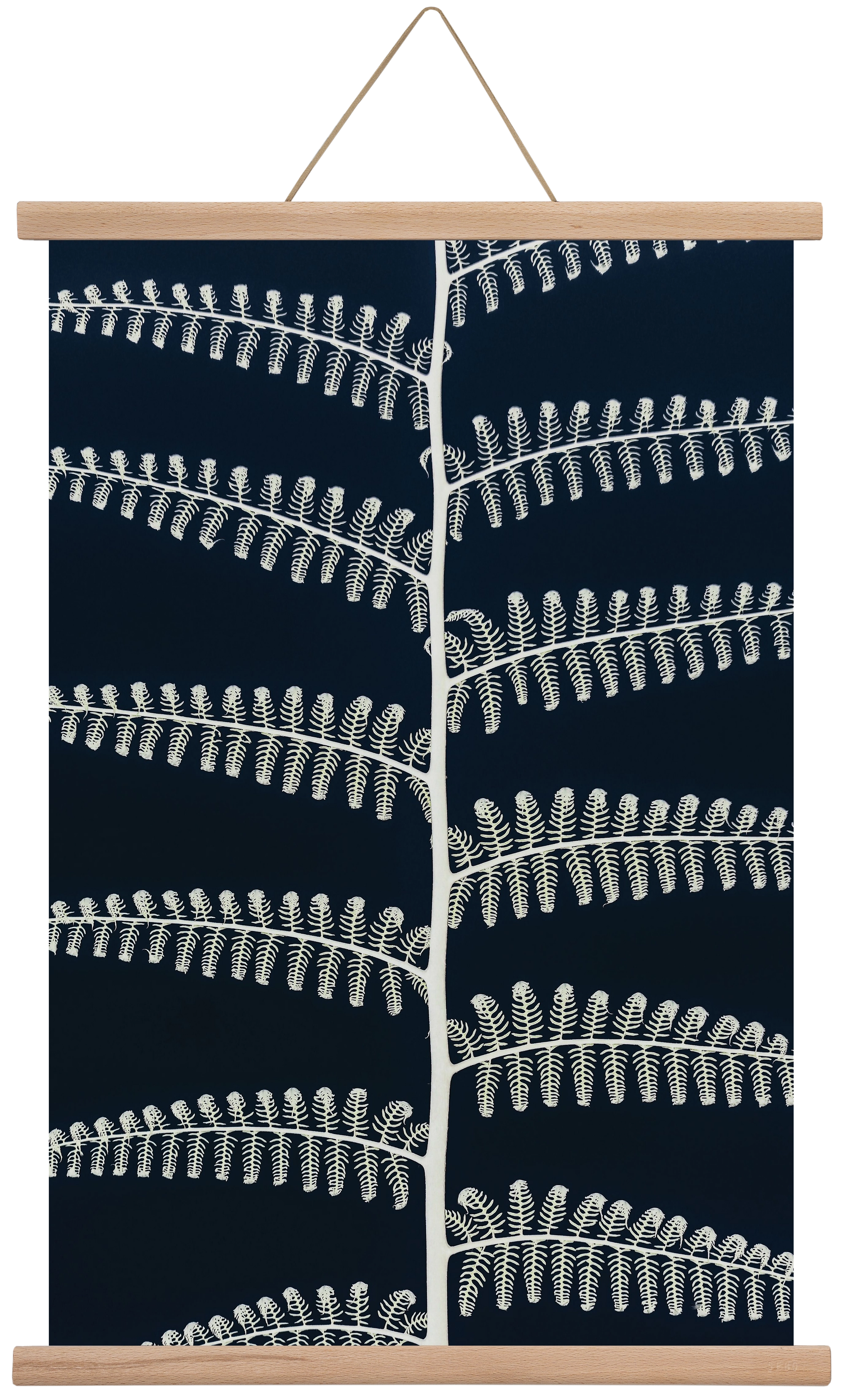 Fern, 40x60 cm (40x60 cm), Tölgy akasztó