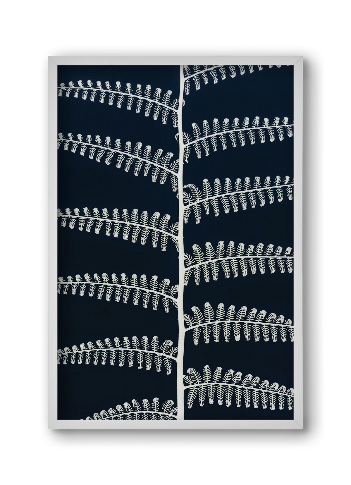 Fern, 30x45 cm (30x45 cm), Fehér keret