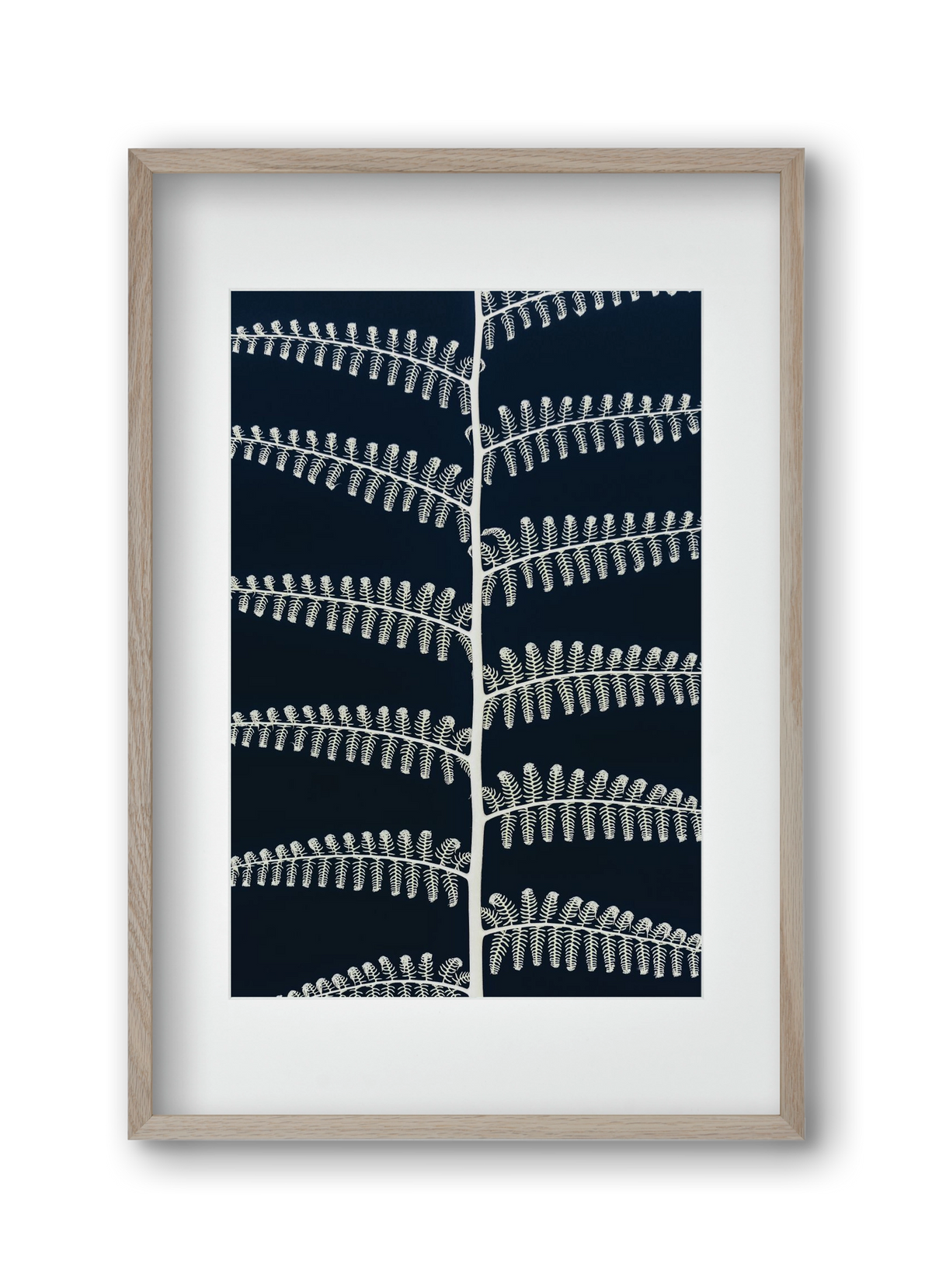 Fern, 30x45 cm (20x30 cm), Tölgy keret, paszpartuval