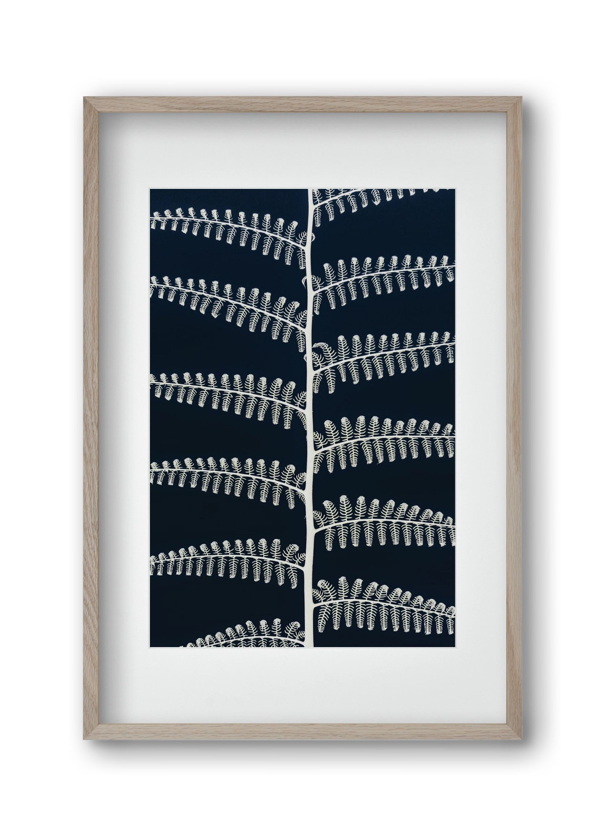 Fern, 30x45 cm (20x30 cm), Tölgy keret, paszpartuval