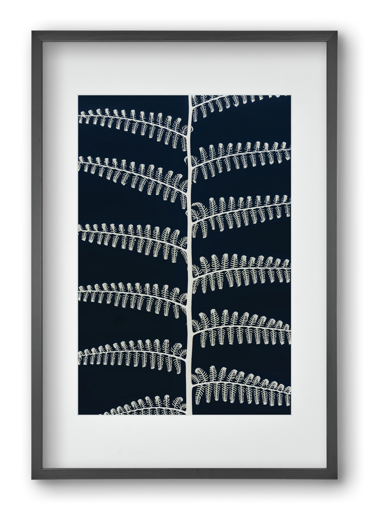 Fern, 40x60 cm (30x45 cm), Fekete keret, paszpartuval