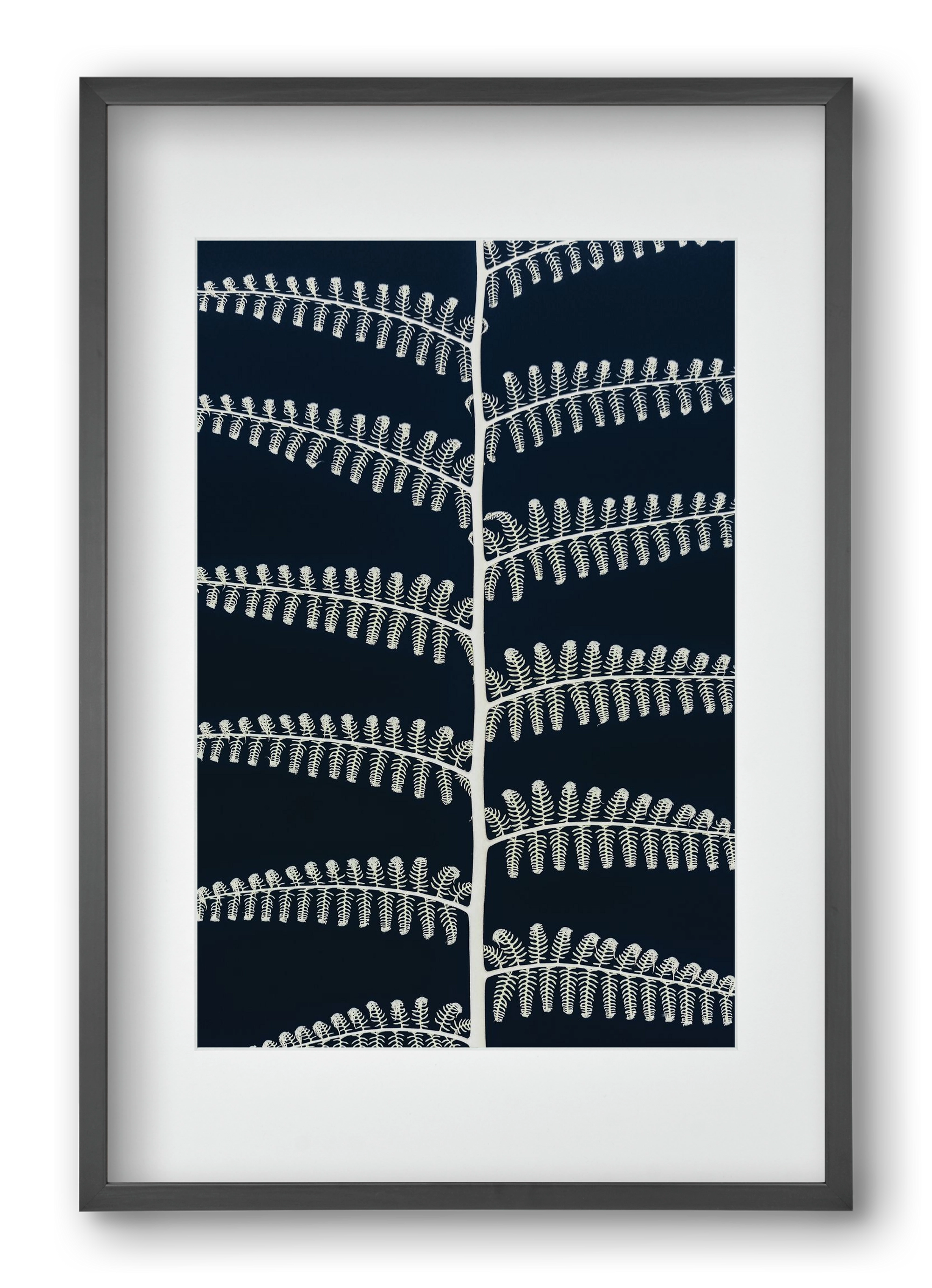 Fern, 40x60 cm (30x45 cm), Fekete keret, paszpartuval