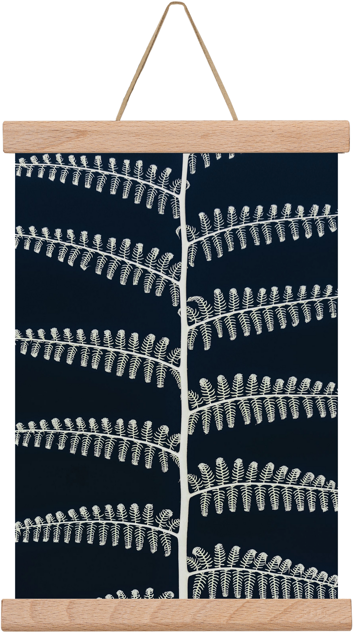 Fern, 20x30 cm (20x30 cm), Tölgy akasztó