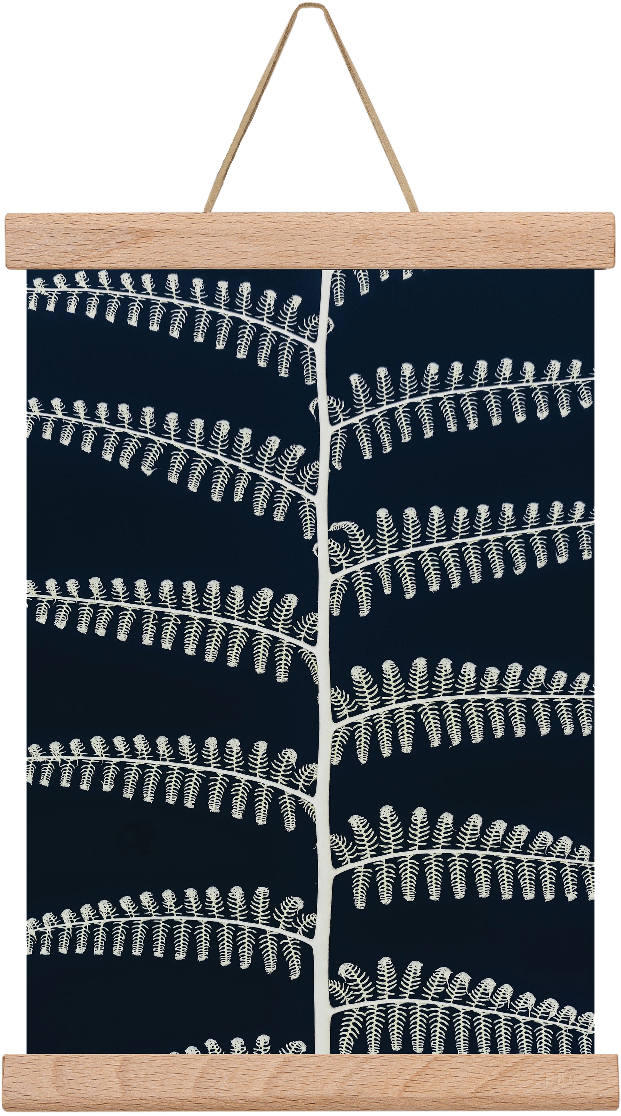 Fern, 20x30 cm (20x30 cm), Tölgy akasztó