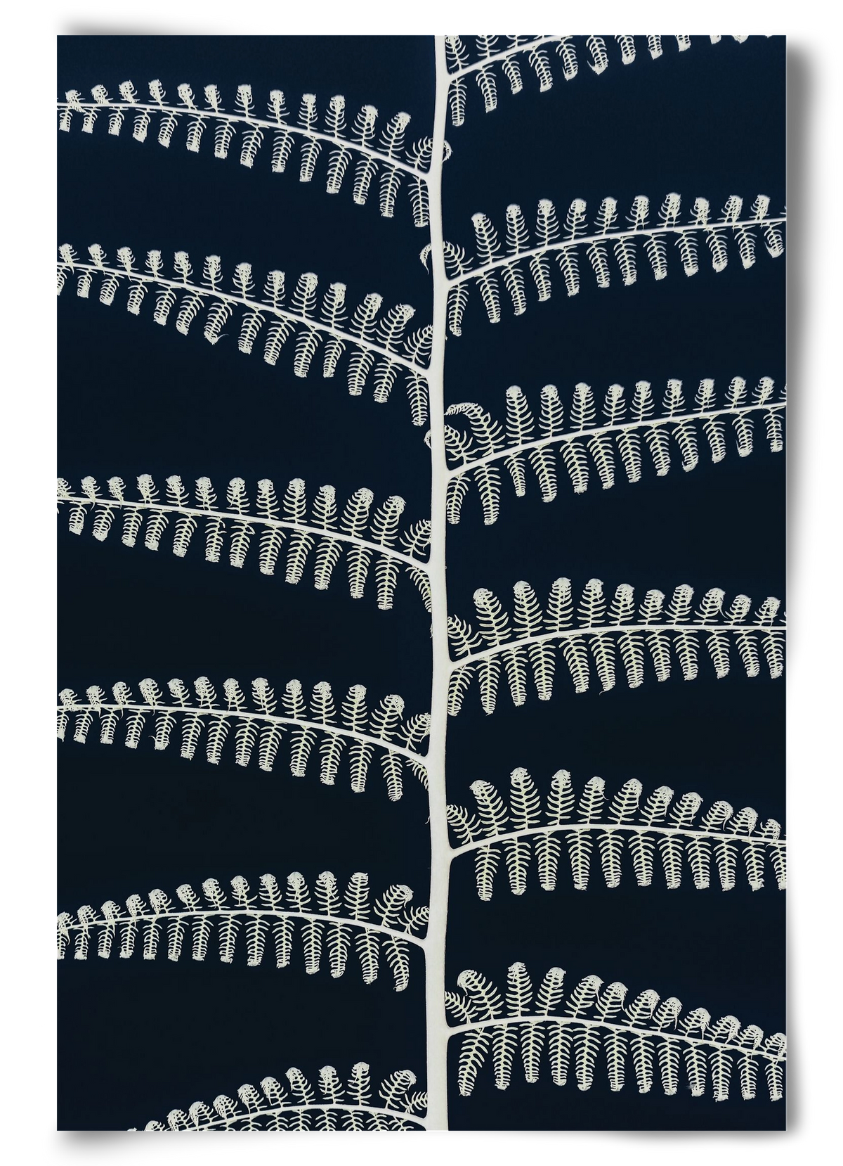 Fern, 60x90 cm, Keret nélkül