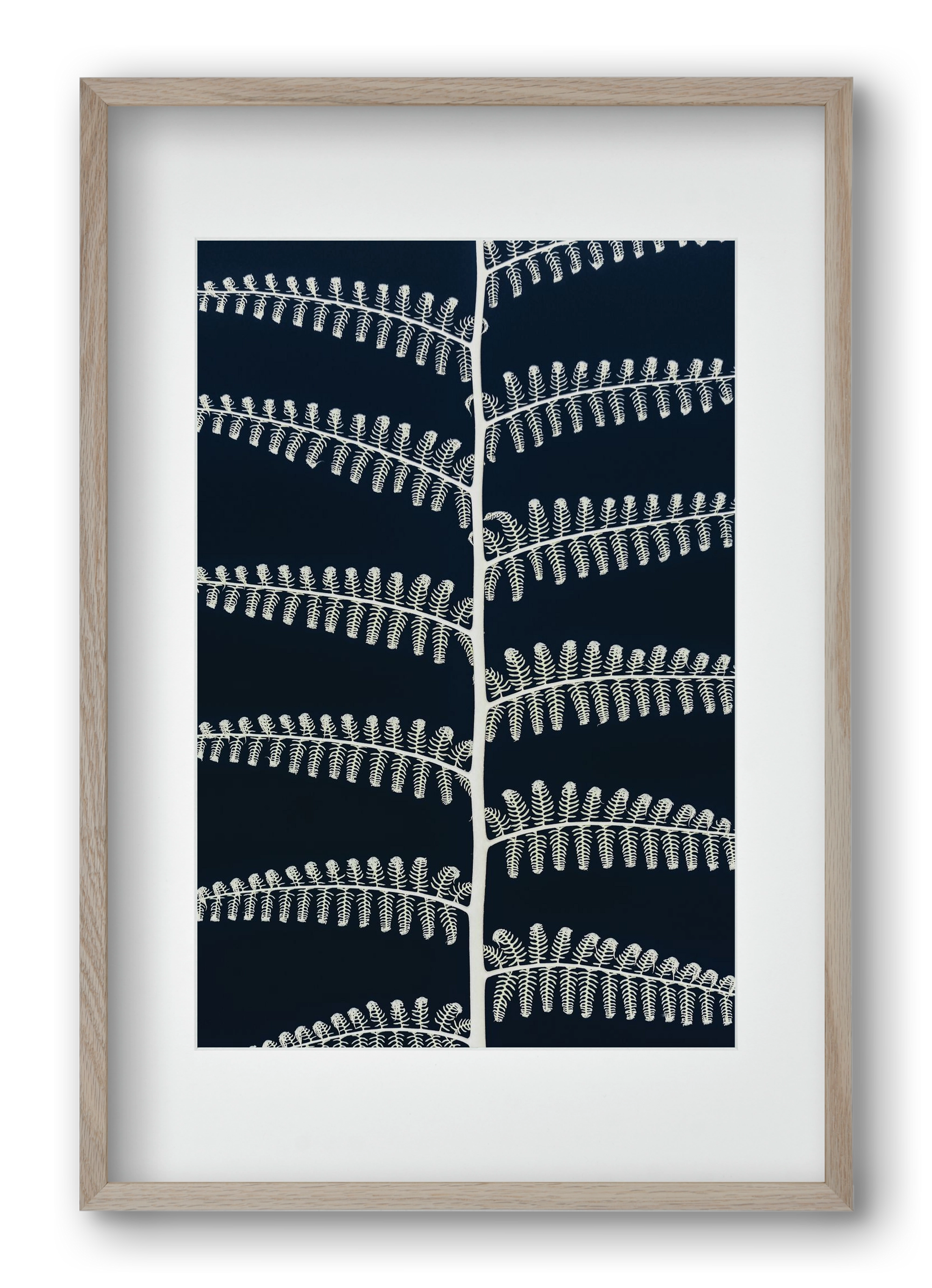 Fern, 40x60 cm (30x45 cm), Tölgy keret, paszpartuval