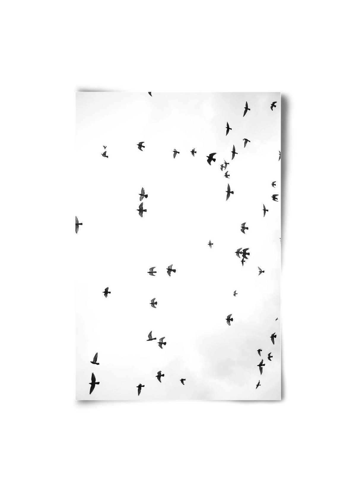 Flight and freedom, 20x30 cm, Keret nélkül