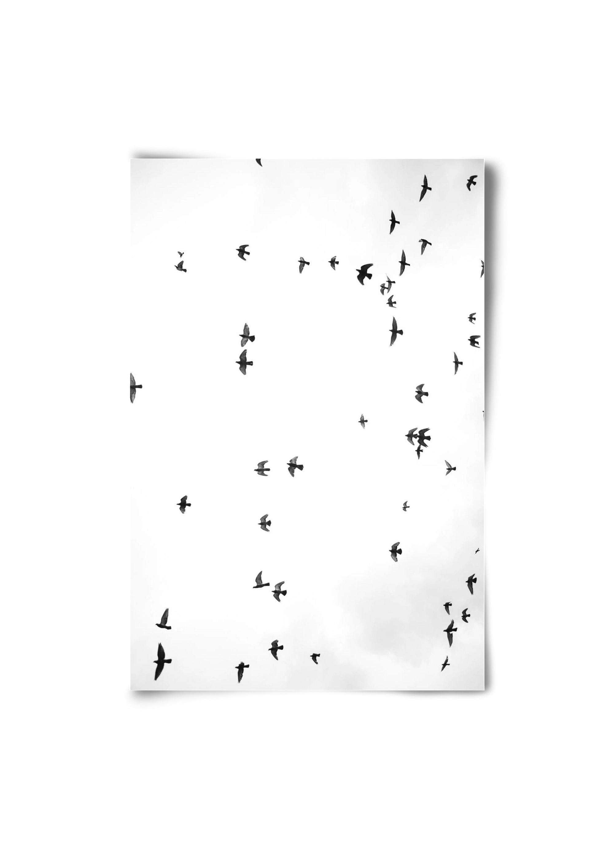 Flight and freedom, 20x30 cm, Keret nélkül