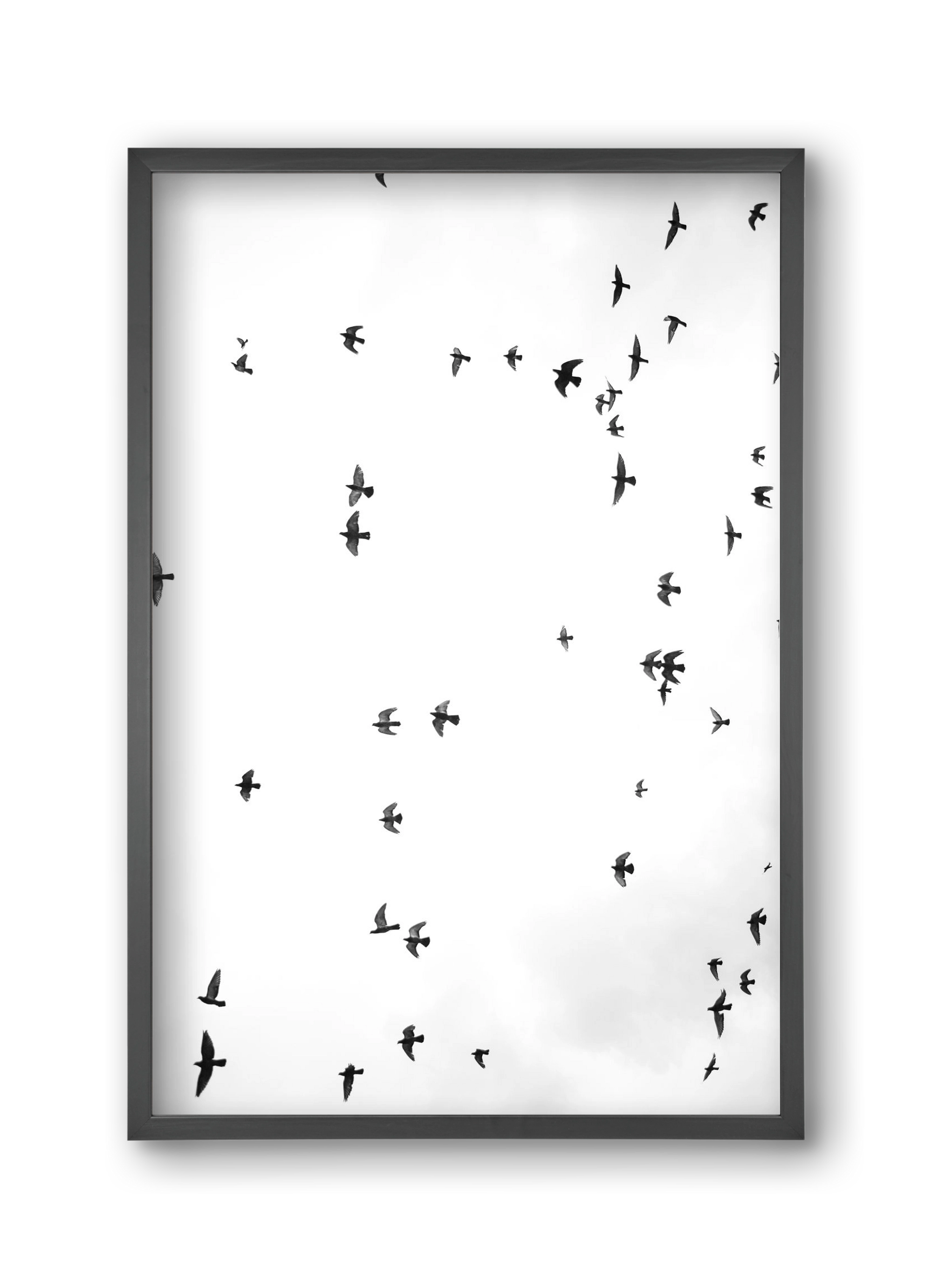 Flight and freedom, 30x45 cm (30x45 cm), Fekete keret