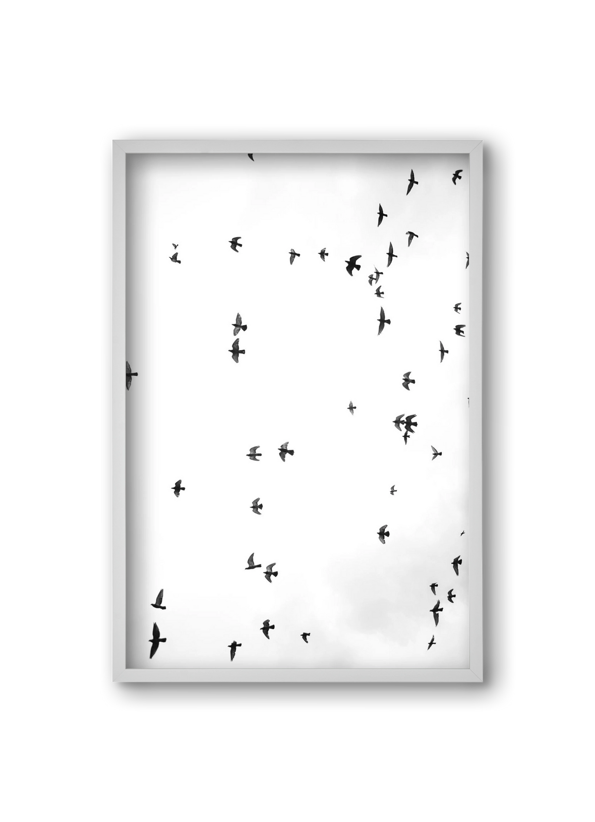 Flight and freedom, 20x30 cm (20x30 cm), Fehér keret