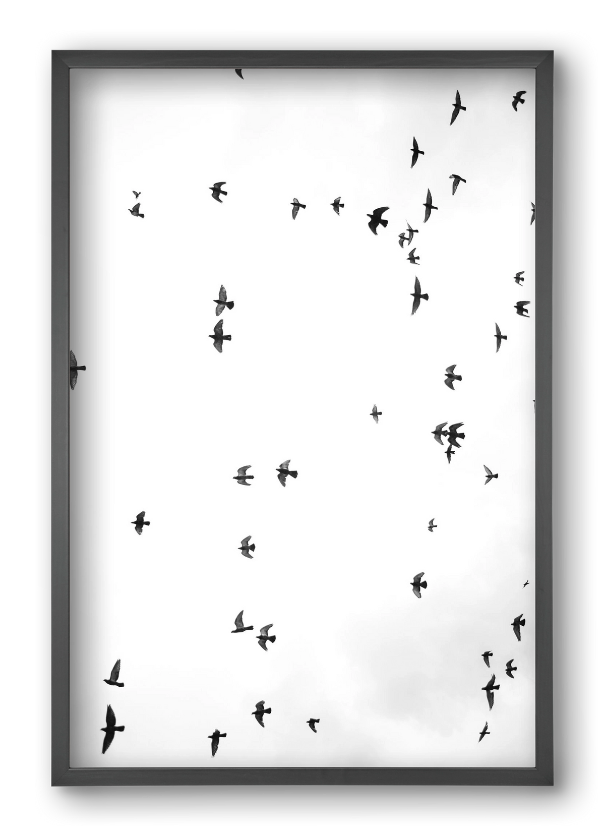 Flight and freedom, 40x60 cm (40x60 cm), Fekete keret