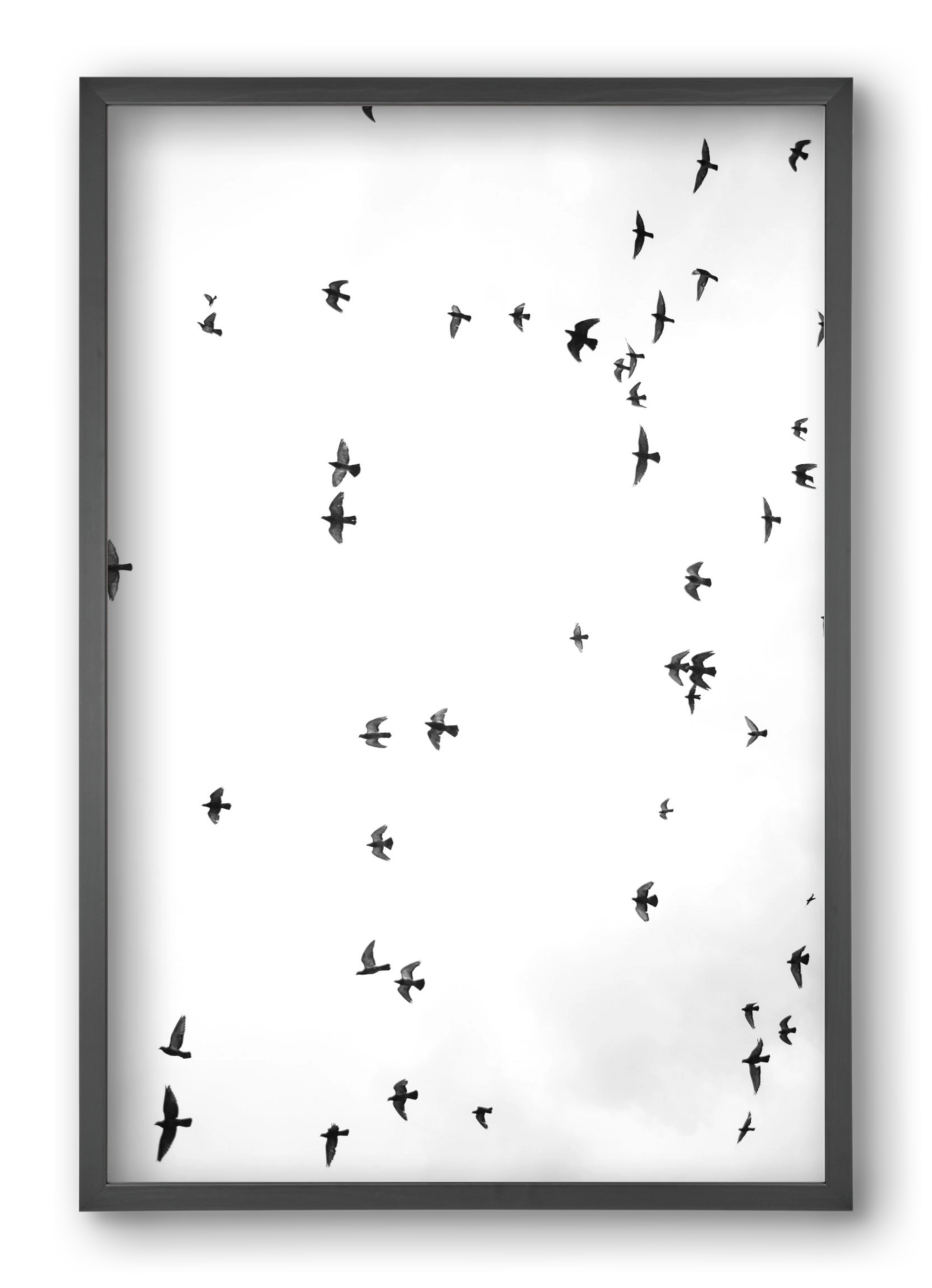 Flight and freedom, 40x60 cm (40x60 cm), Fekete keret