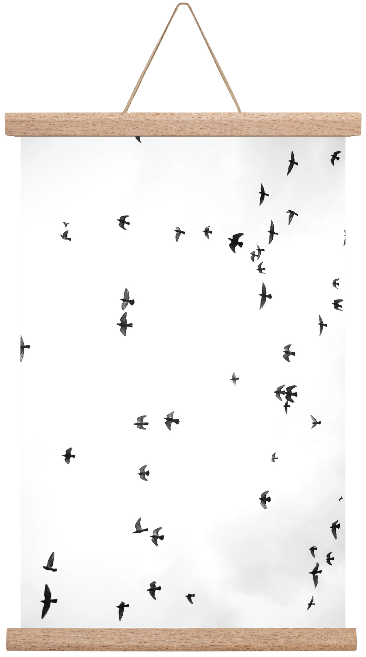 Flight and freedom, 30x45 cm (30x45 cm), Tölgy akasztó