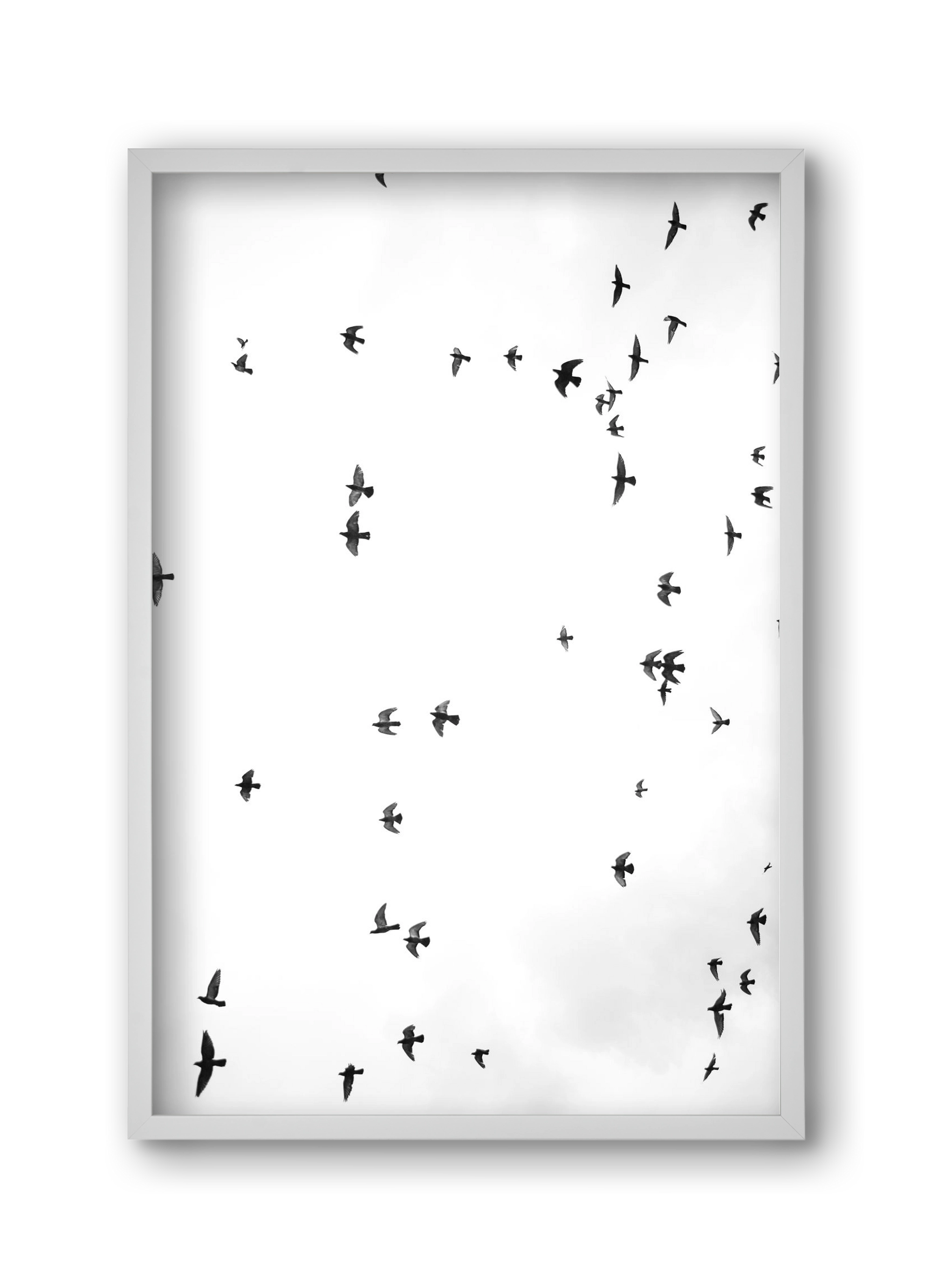 Flight and freedom, 30x45 cm (30x45 cm), Fehér keret