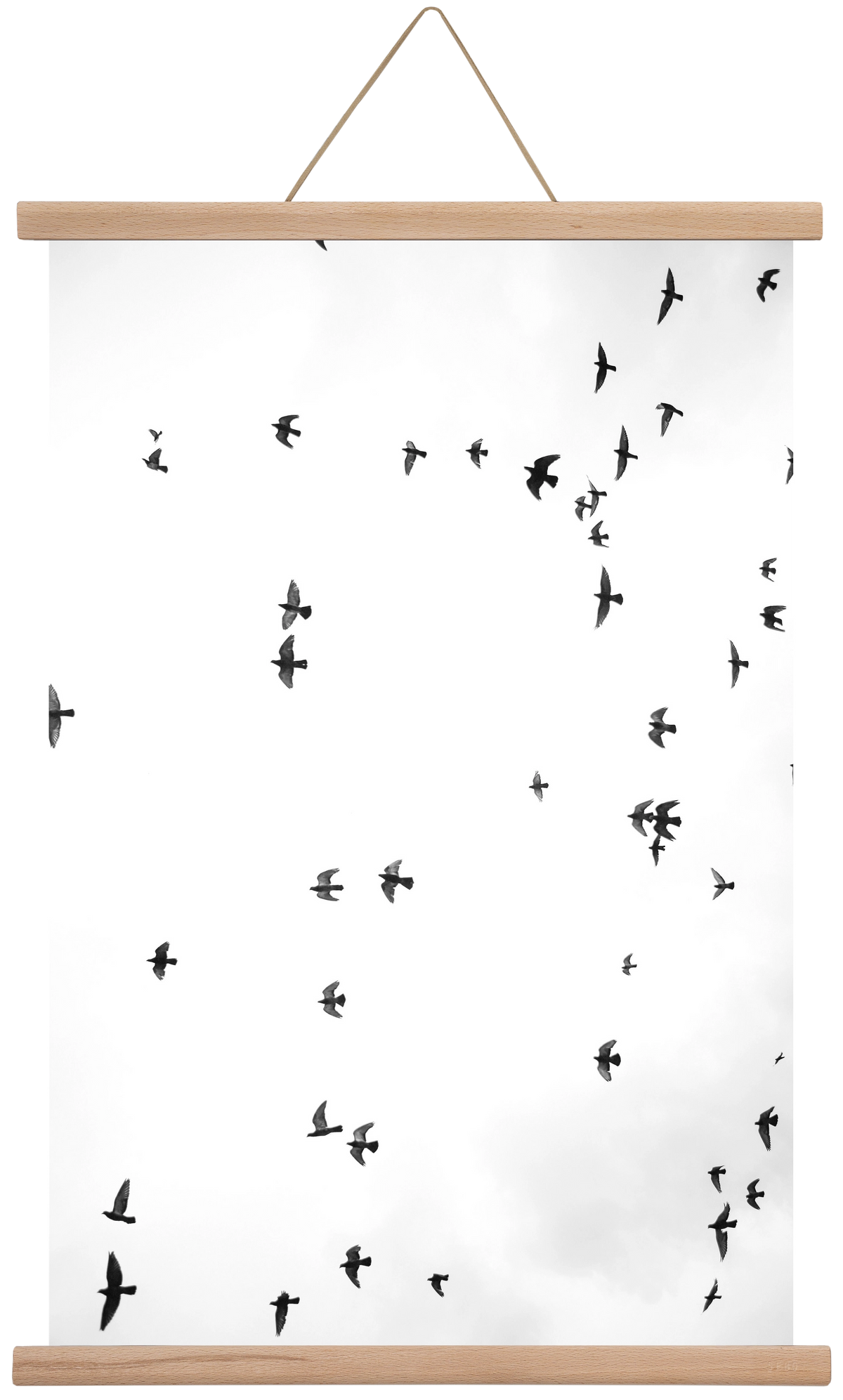 Flight and freedom, 40x60 cm (40x60 cm), Tölgy akasztó