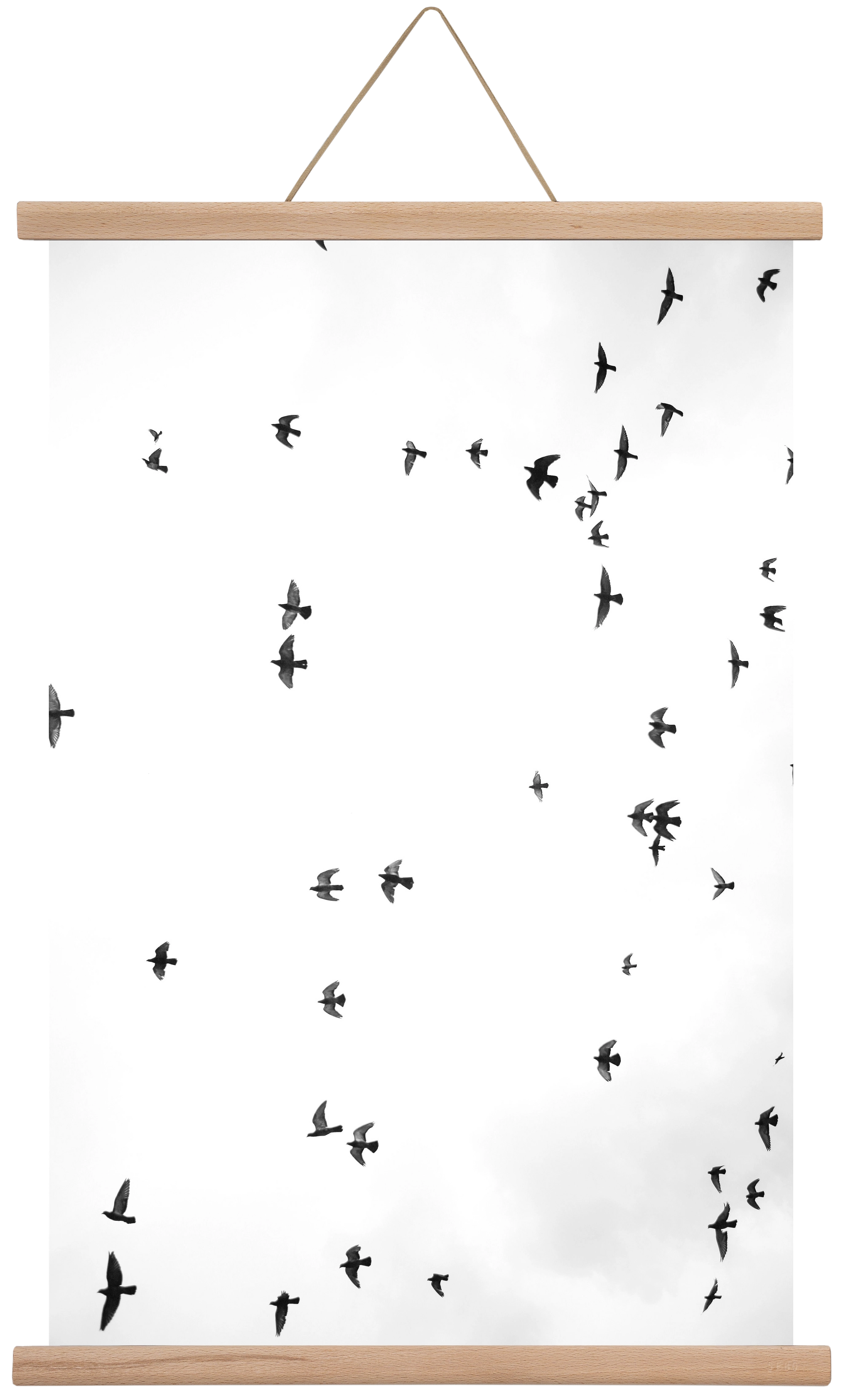 Flight and freedom, 40x60 cm (40x60 cm), Tölgy akasztó