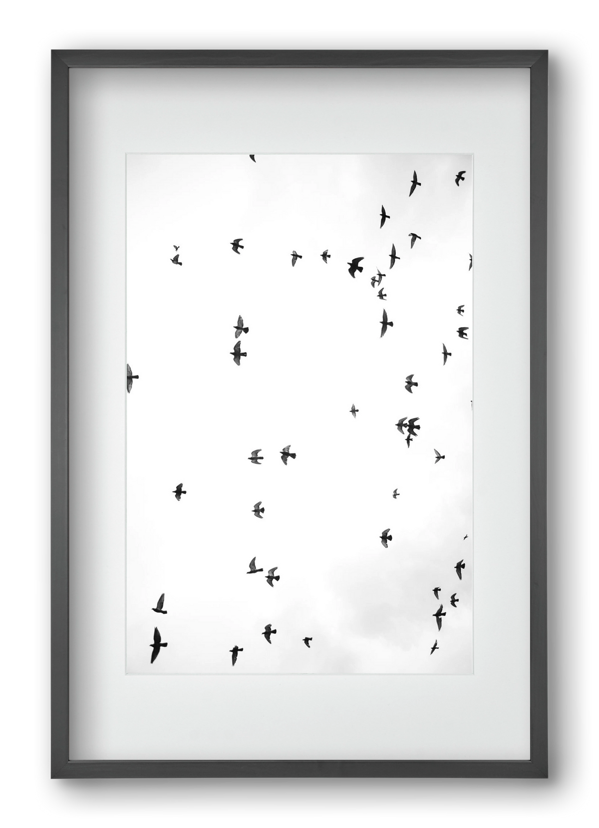 Flight and freedom, 40x60 cm (30x45 cm), Fekete keret, paszpartuval