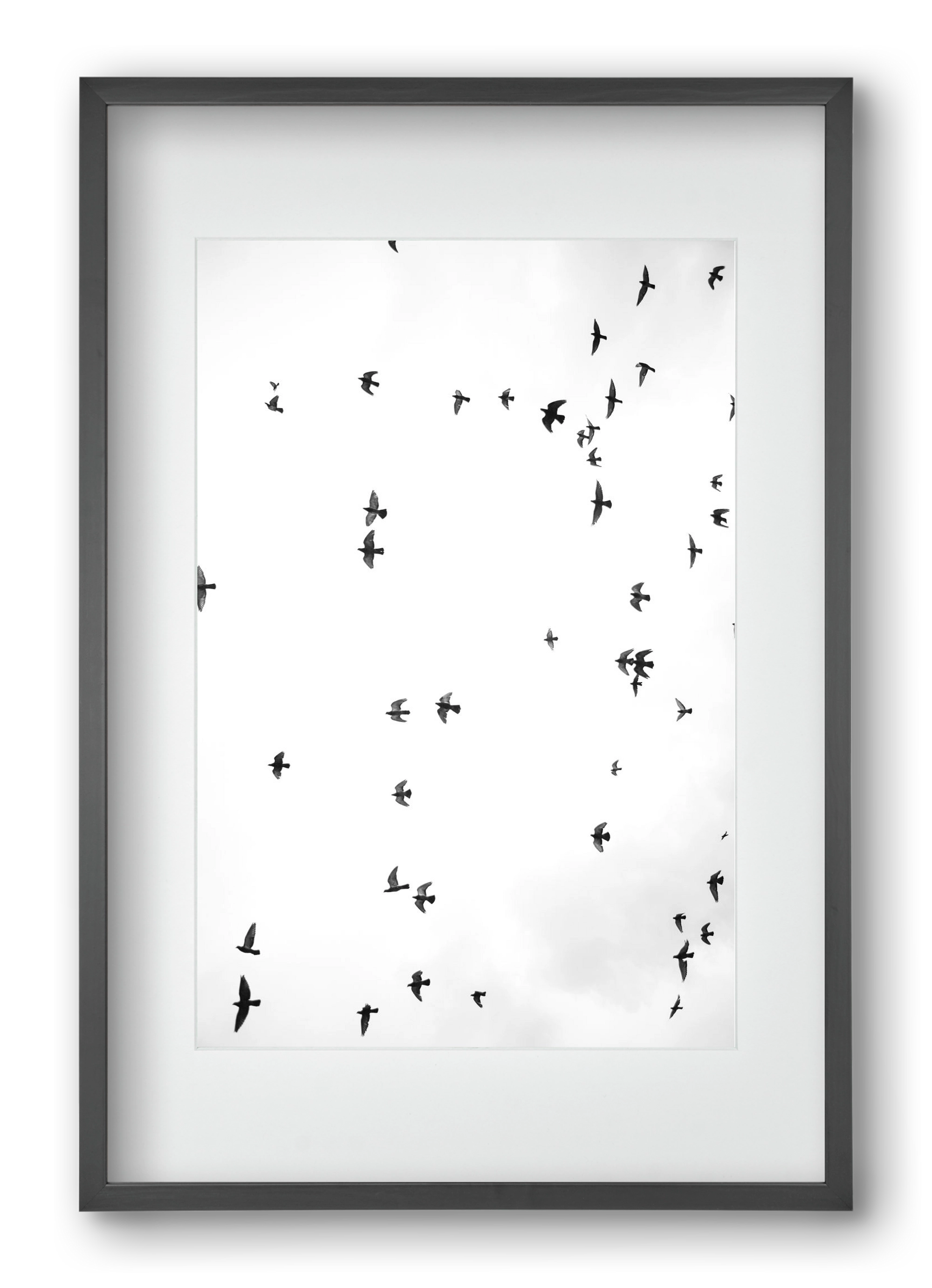 Flight and freedom, 40x60 cm (30x45 cm), Fekete keret, paszpartuval