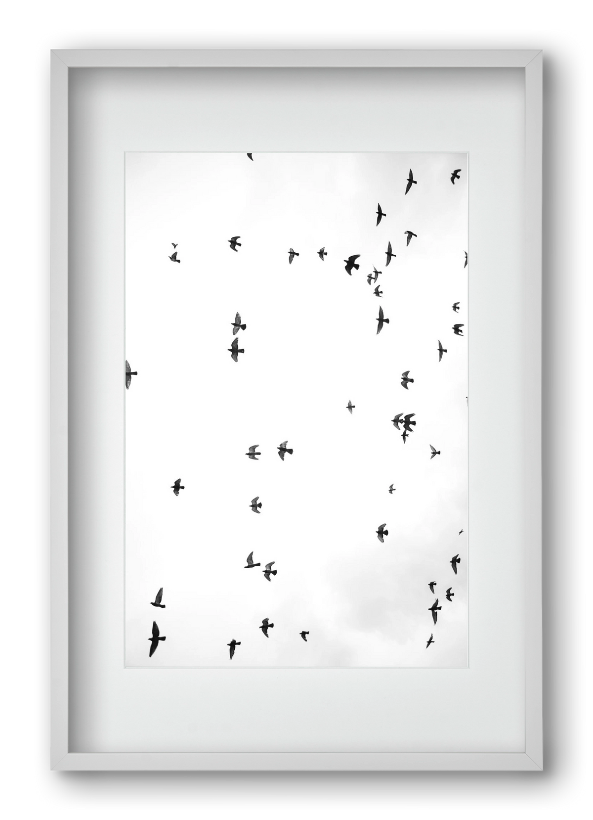 Flight and freedom, 40x60 cm (30x45 cm), Fehér keret, paszpartuval