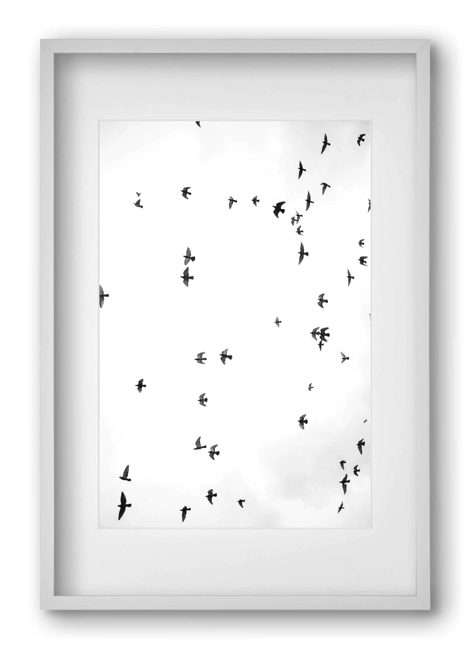 Flight and freedom, 40x60 cm (30x45 cm), Fehér keret, paszpartuval