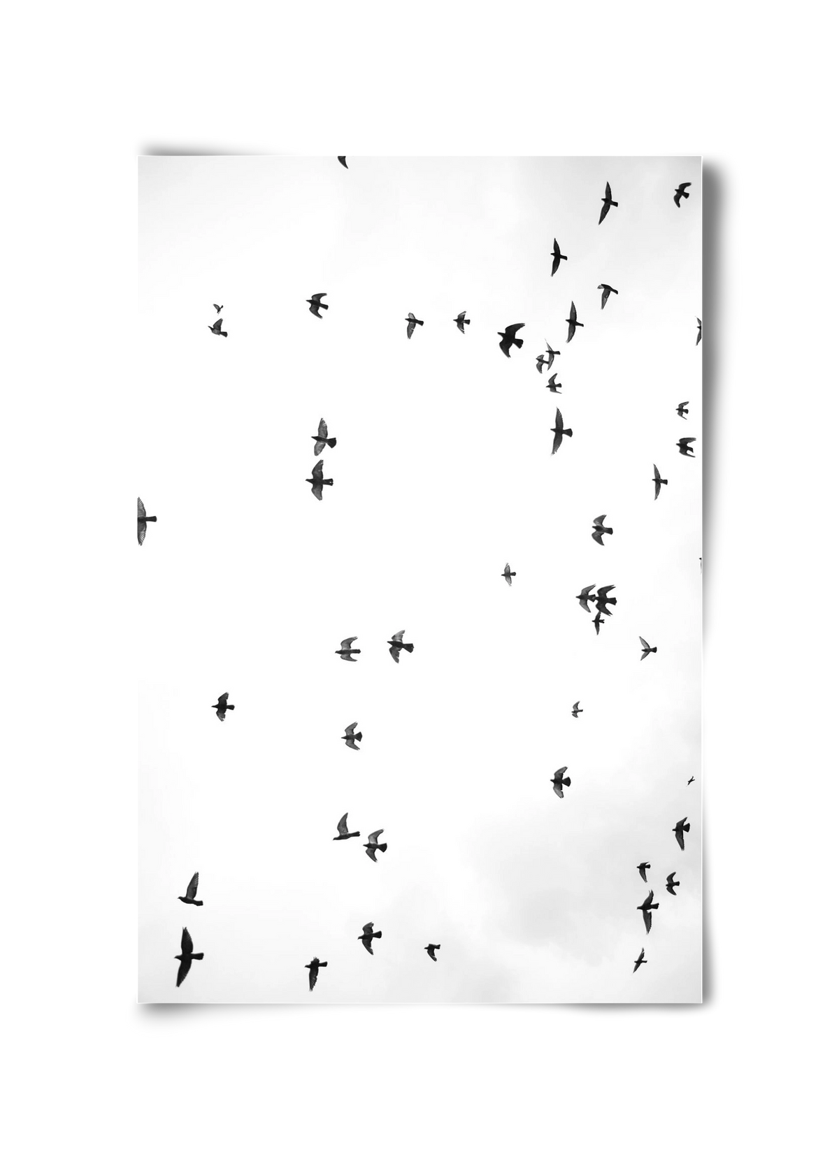 Flight and freedom, 30x45 cm, Keret nélkül