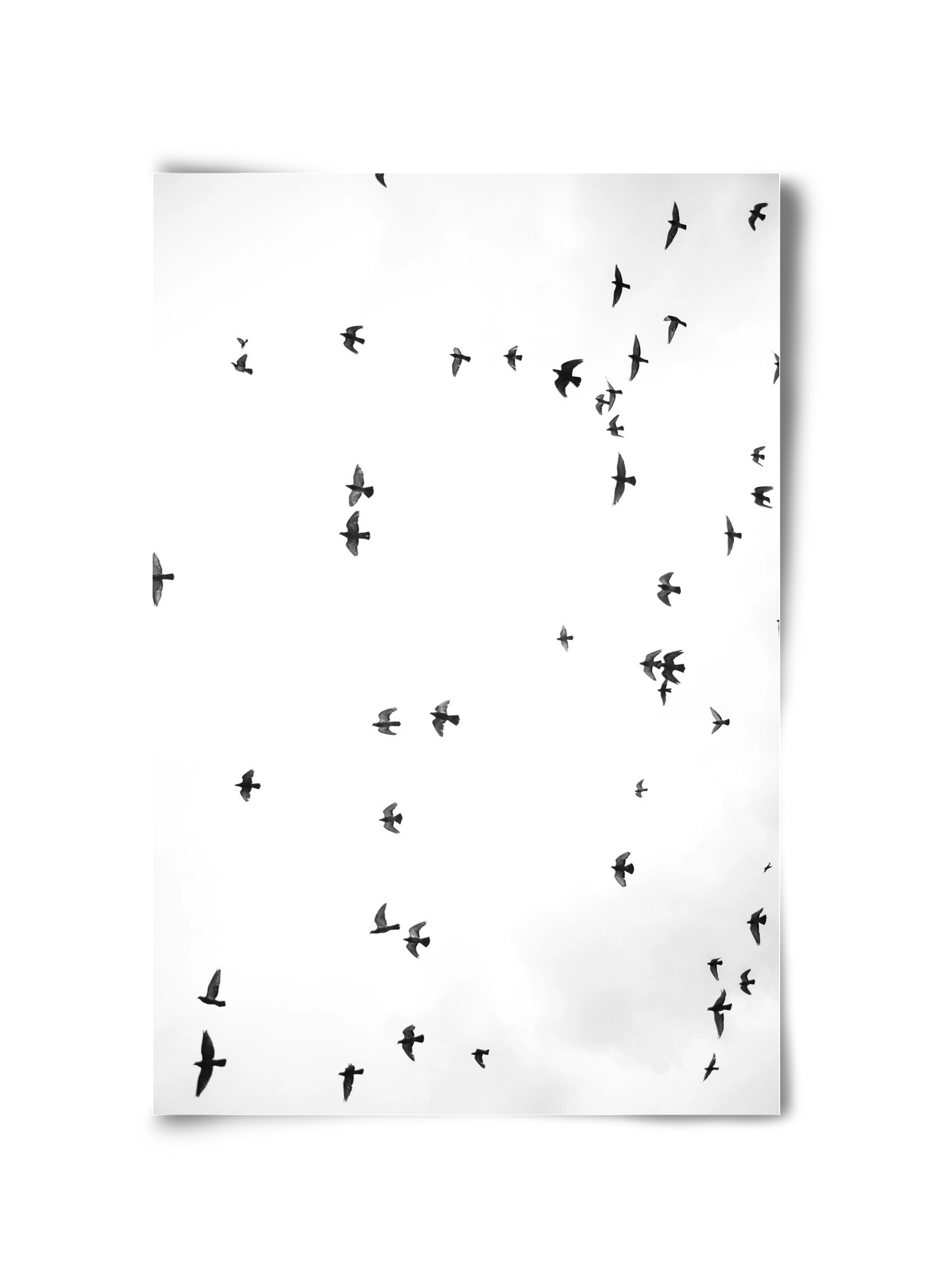 Flight and freedom, 30x45 cm, Keret nélkül