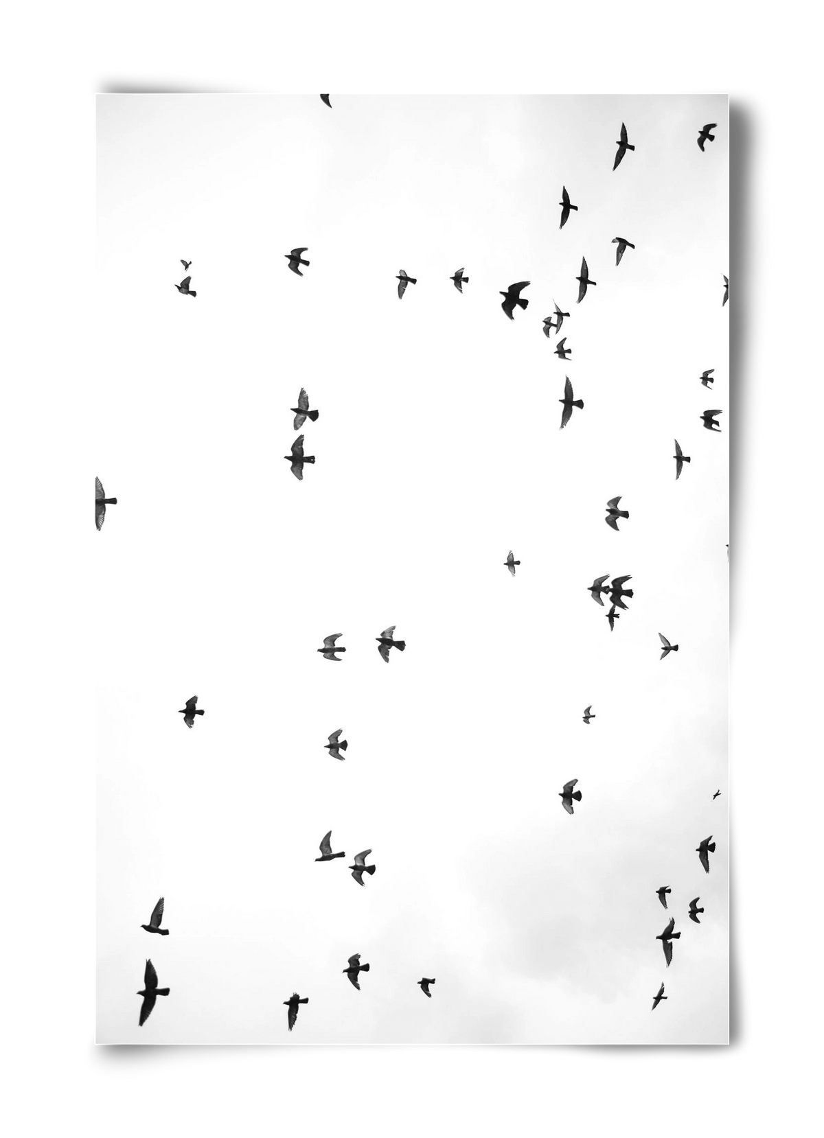 Flight and freedom, 40x60 cm, Keret nélkül