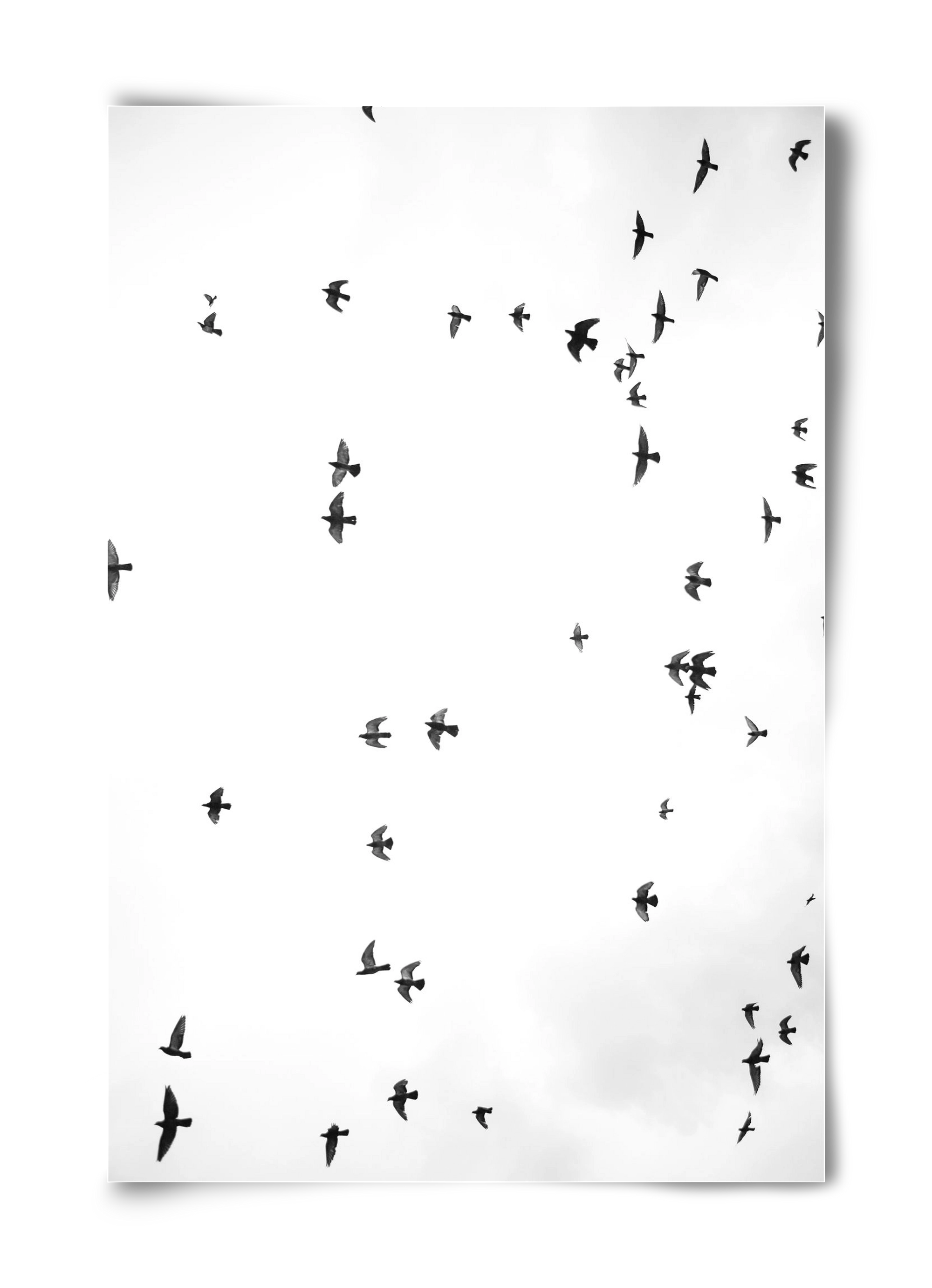 Flight and freedom, 40x60 cm, Keret nélkül