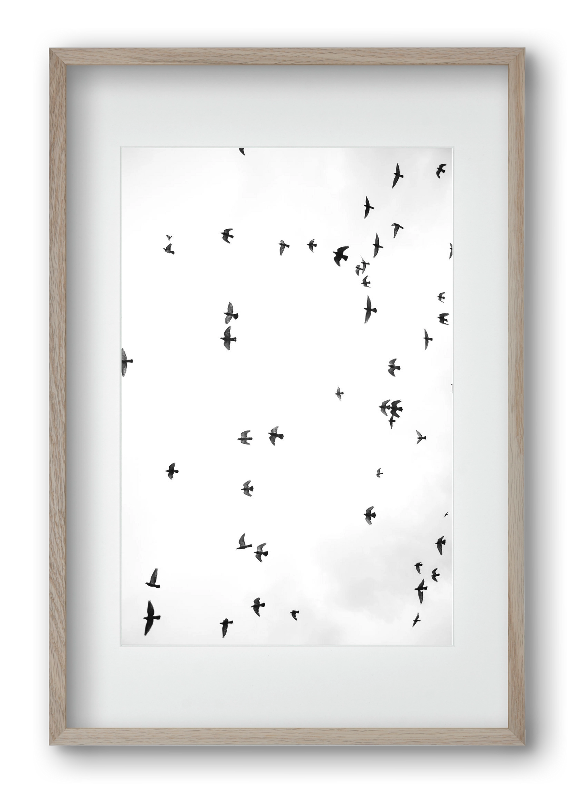 Flight and freedom, 40x60 cm (30x45 cm), Tölgy keret, paszpartuval