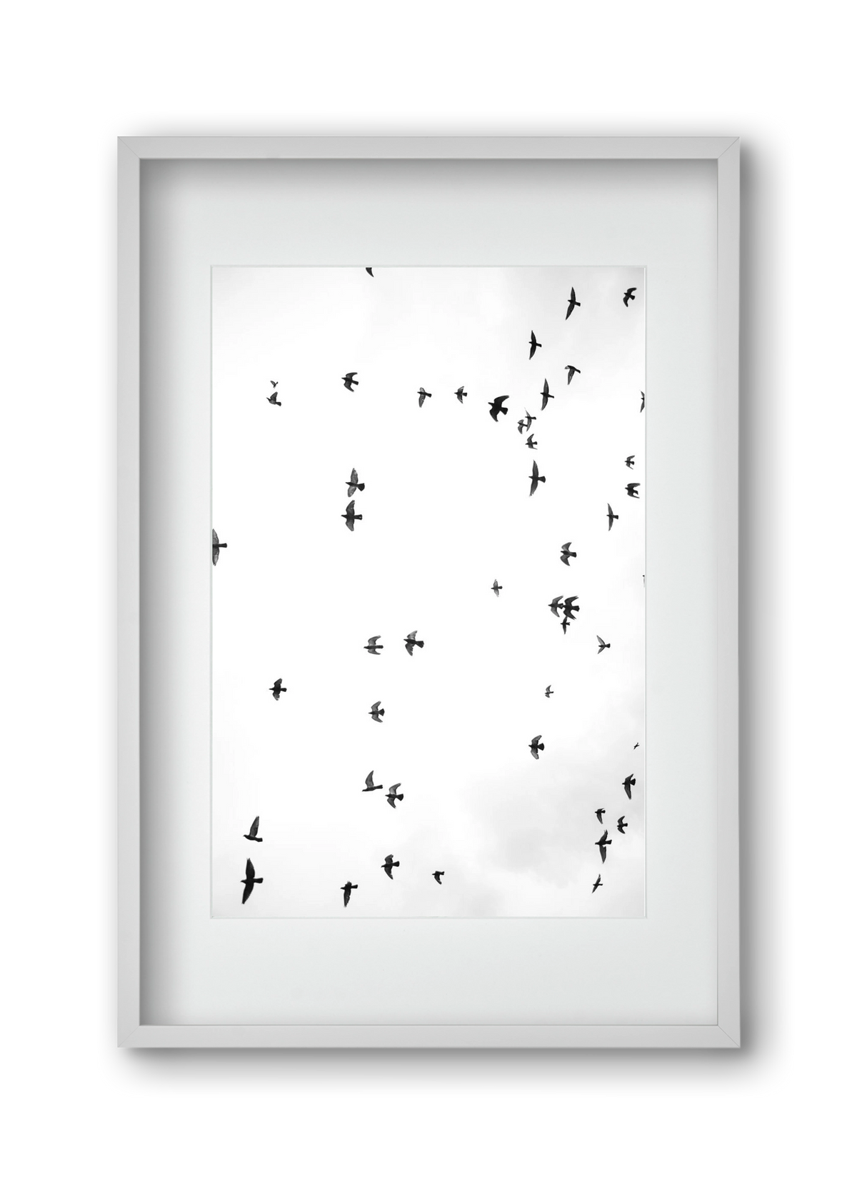 Flight and freedom, 30x45 cm (20x30 cm), Fehér keret, paszpartuval