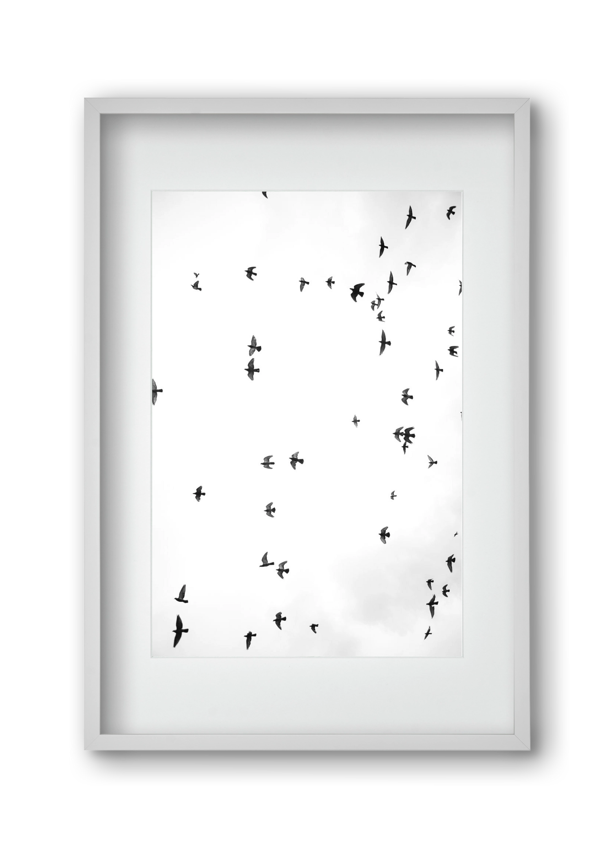 Flight and freedom, 30x45 cm (20x30 cm), Fehér keret, paszpartuval