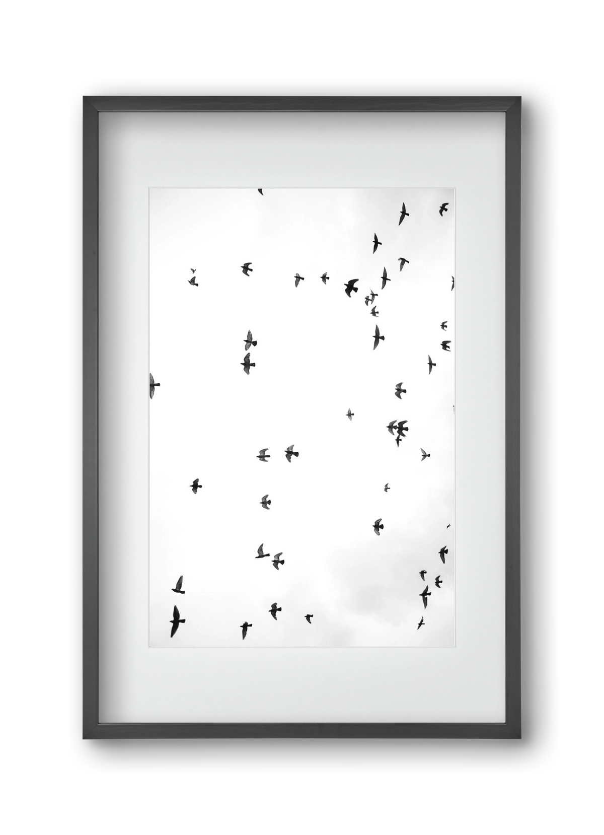 Flight and freedom, 30x45 cm (20x30 cm), Fekete keret, paszpartuval