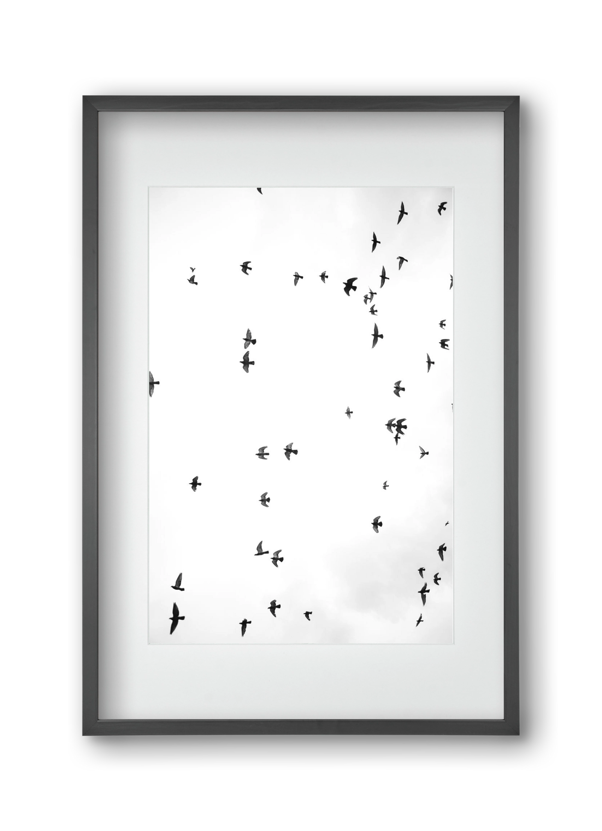 Flight and freedom, 30x45 cm (20x30 cm), Fekete keret, paszpartuval