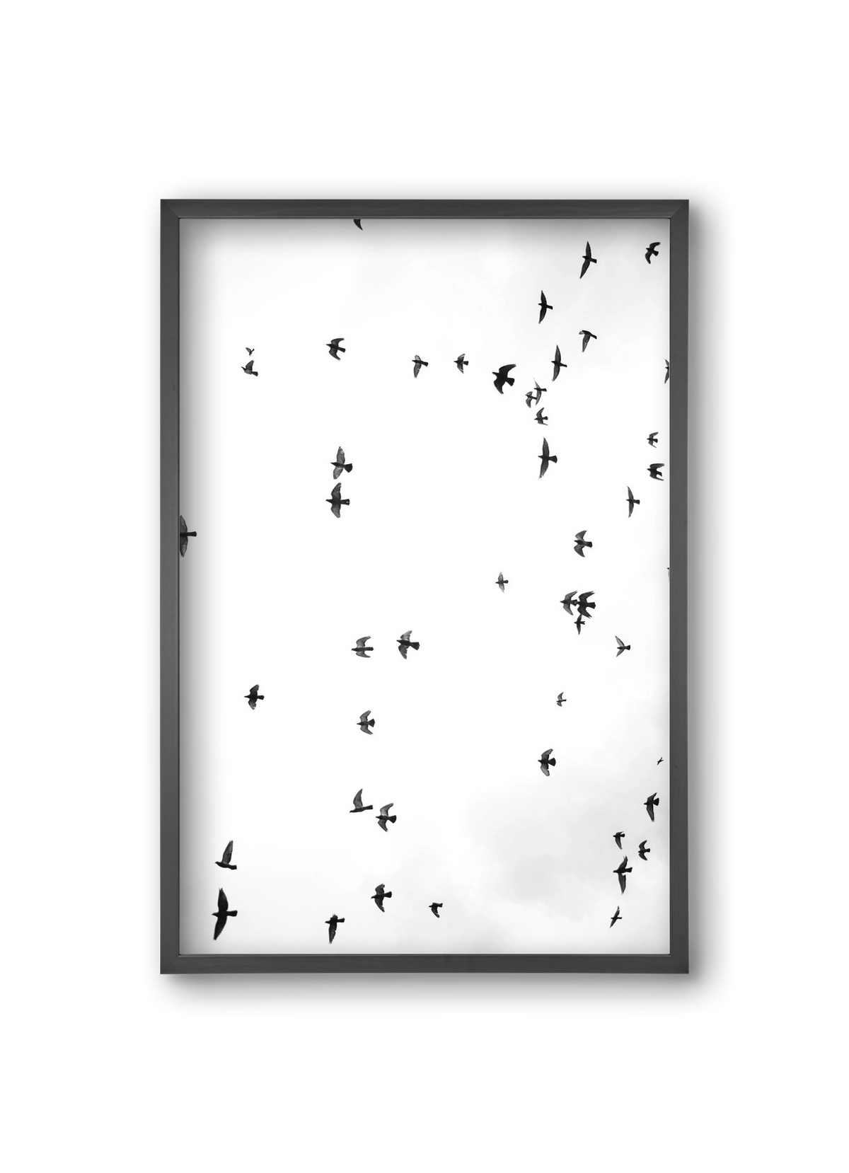 Flight and freedom, 20x30 cm (20x30 cm), Fekete keret