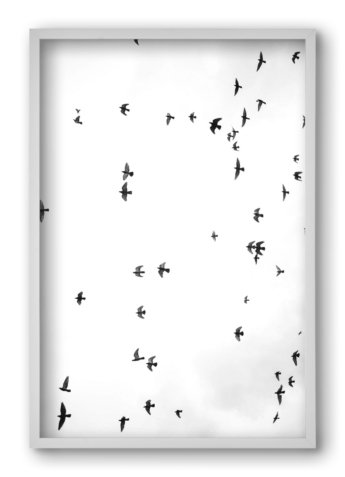 Flight and freedom, 40x60 cm (40x60 cm), Fehér keret