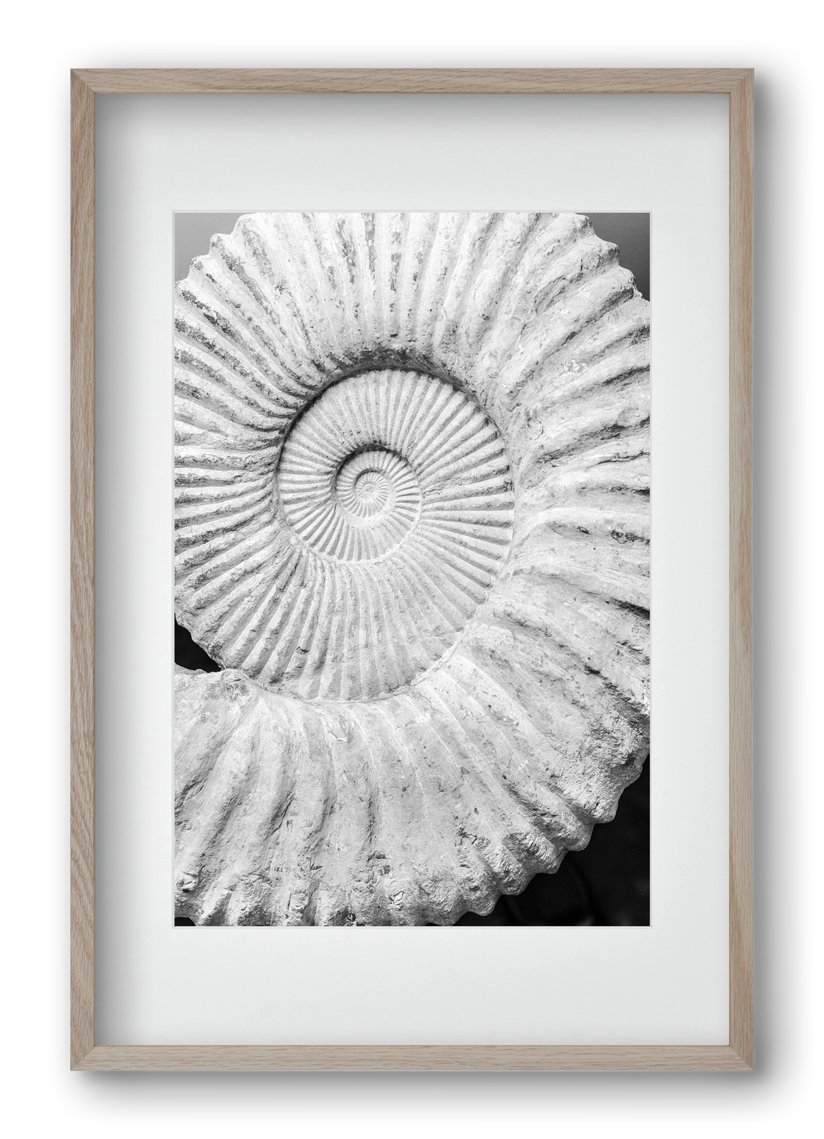 Formula, 40x60 cm (30x45 cm), Tölgy keret, paszpartuval