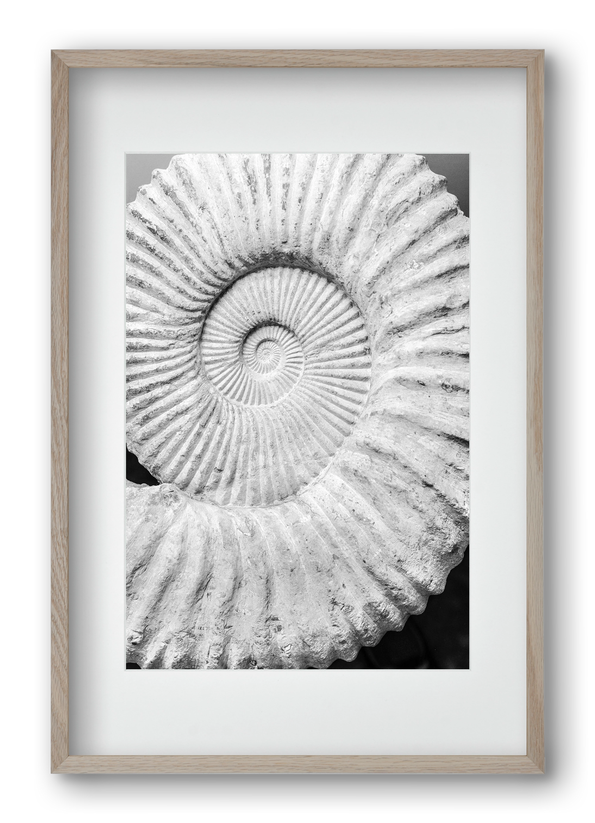 Formula, 40x60 cm (30x45 cm), Tölgy keret, paszpartuval