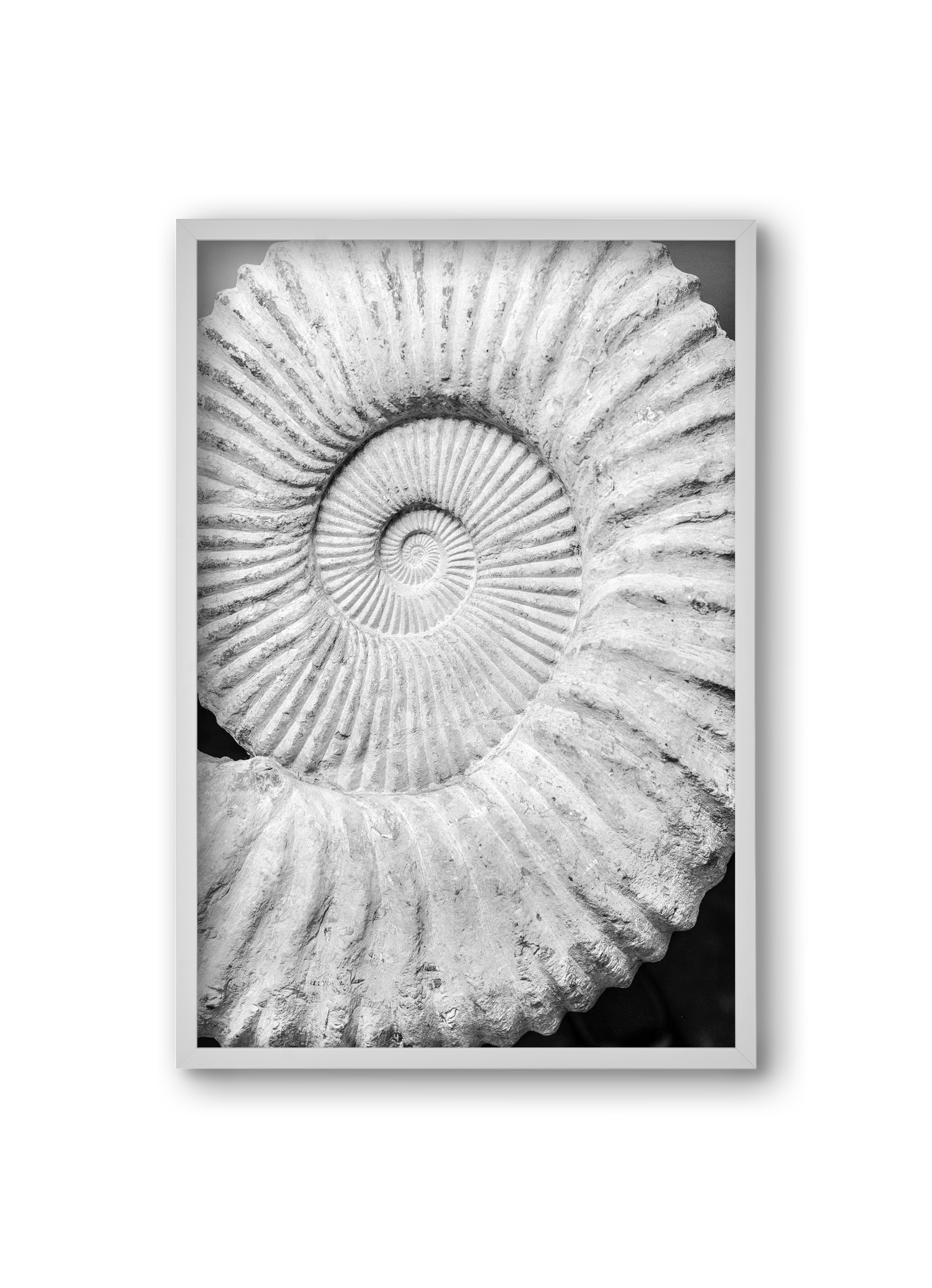 Formula, 20x30 cm (20x30 cm), Fehér keret