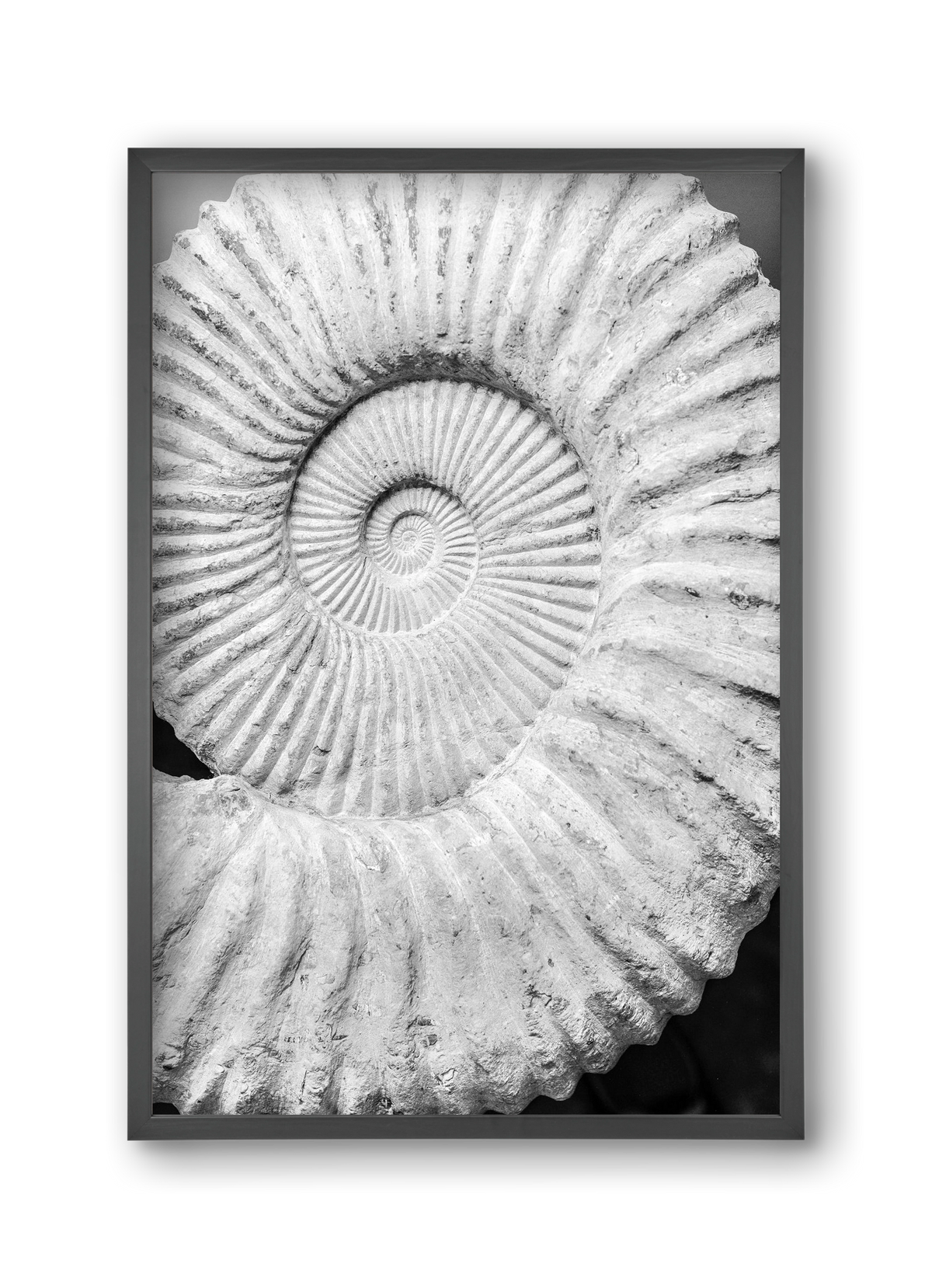 Formula, 30x45 cm (30x45 cm), Fekete keret